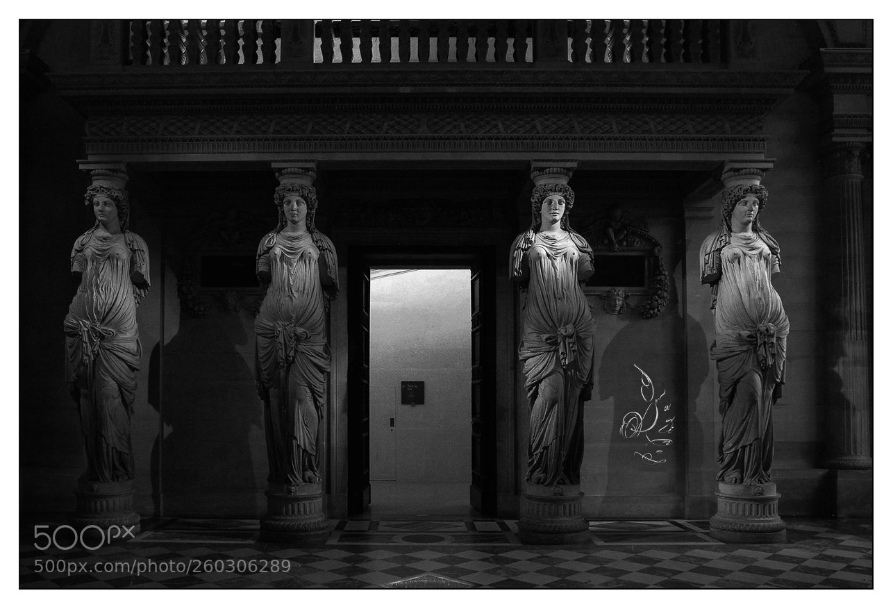 Nikon D200 sample photo. Louvre, cariatides photography