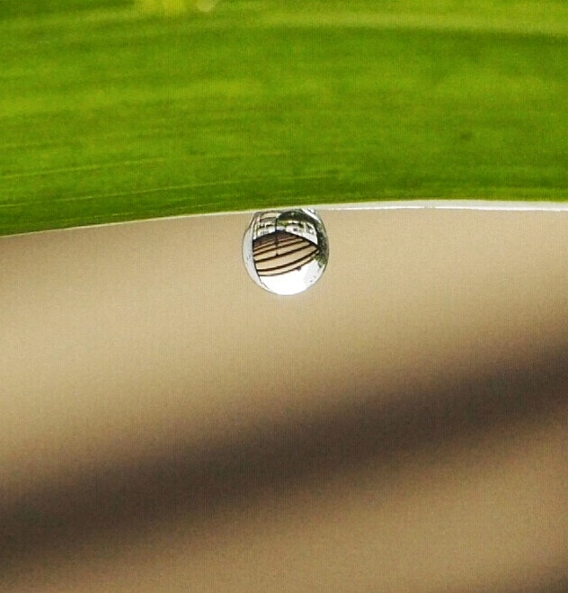 Olympus PEN E-PL7 sample photo. The upside down reflections. photography