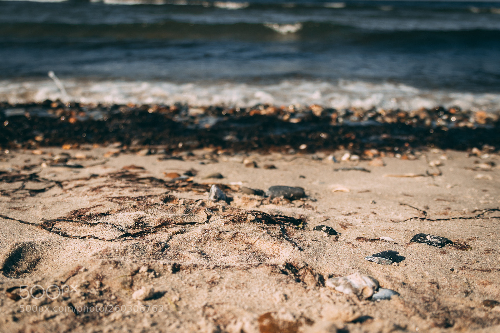 Canon EOS 80D sample photo. Where sand meets the photography