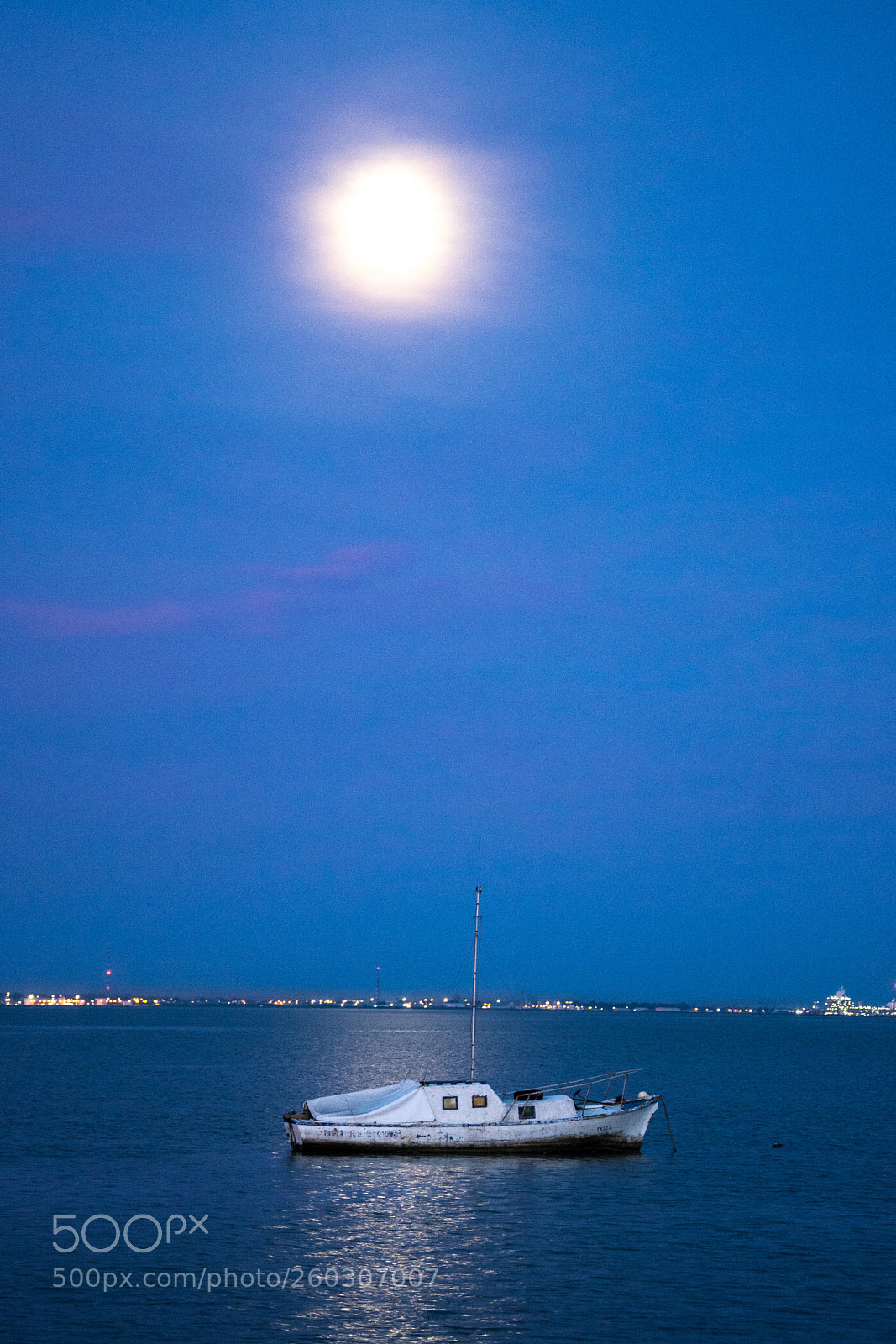 Nikon D7100 sample photo. Mjy photography