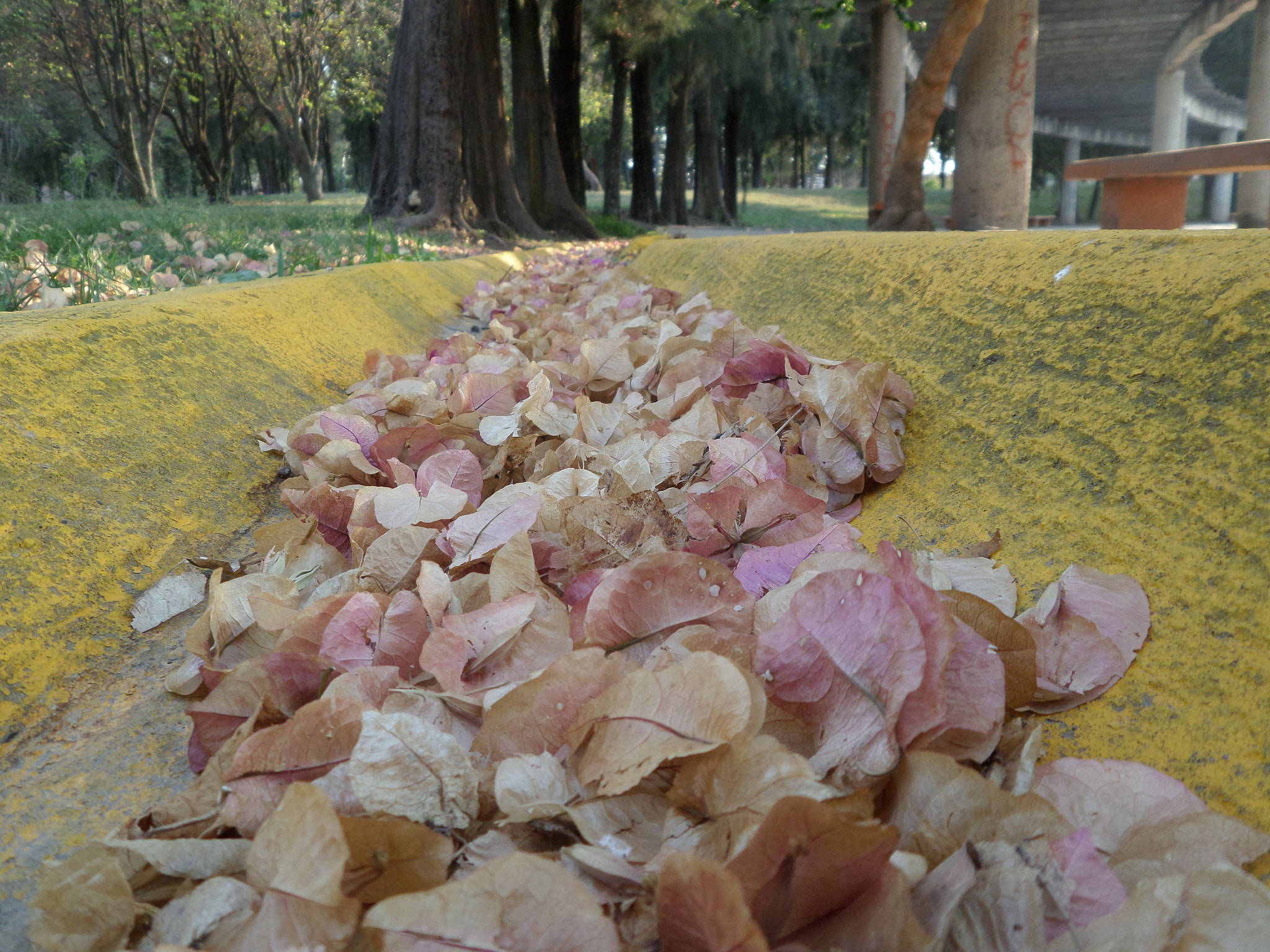 Samsung WB30F/WB31F/WB32F sample photo. Todo pasa.🍂 photography