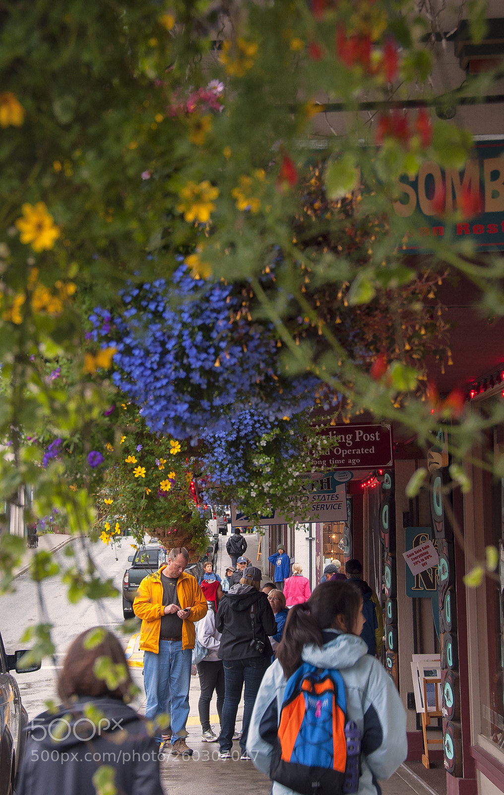 Nikon D90 sample photo. Flower street photography