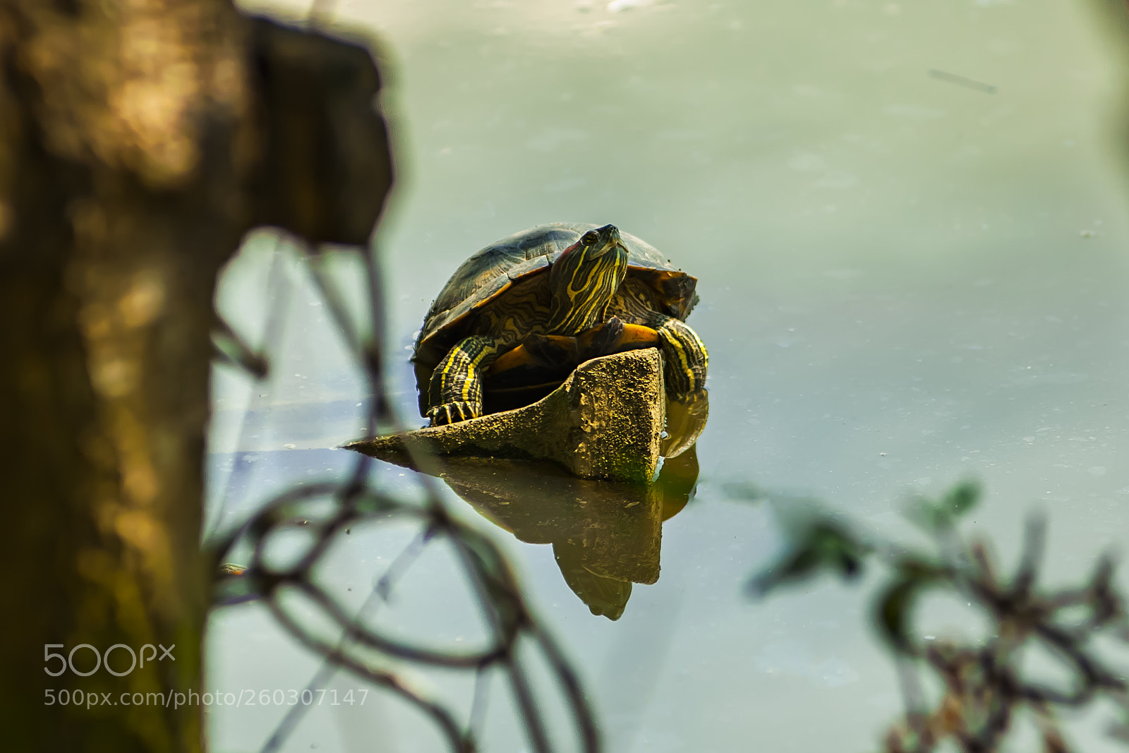 Nikon D700 sample photo. Nature photography