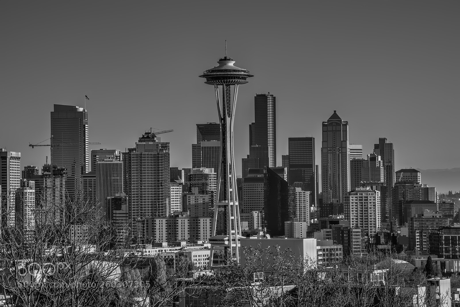 Nikon D800 sample photo. Seattle in gray photography