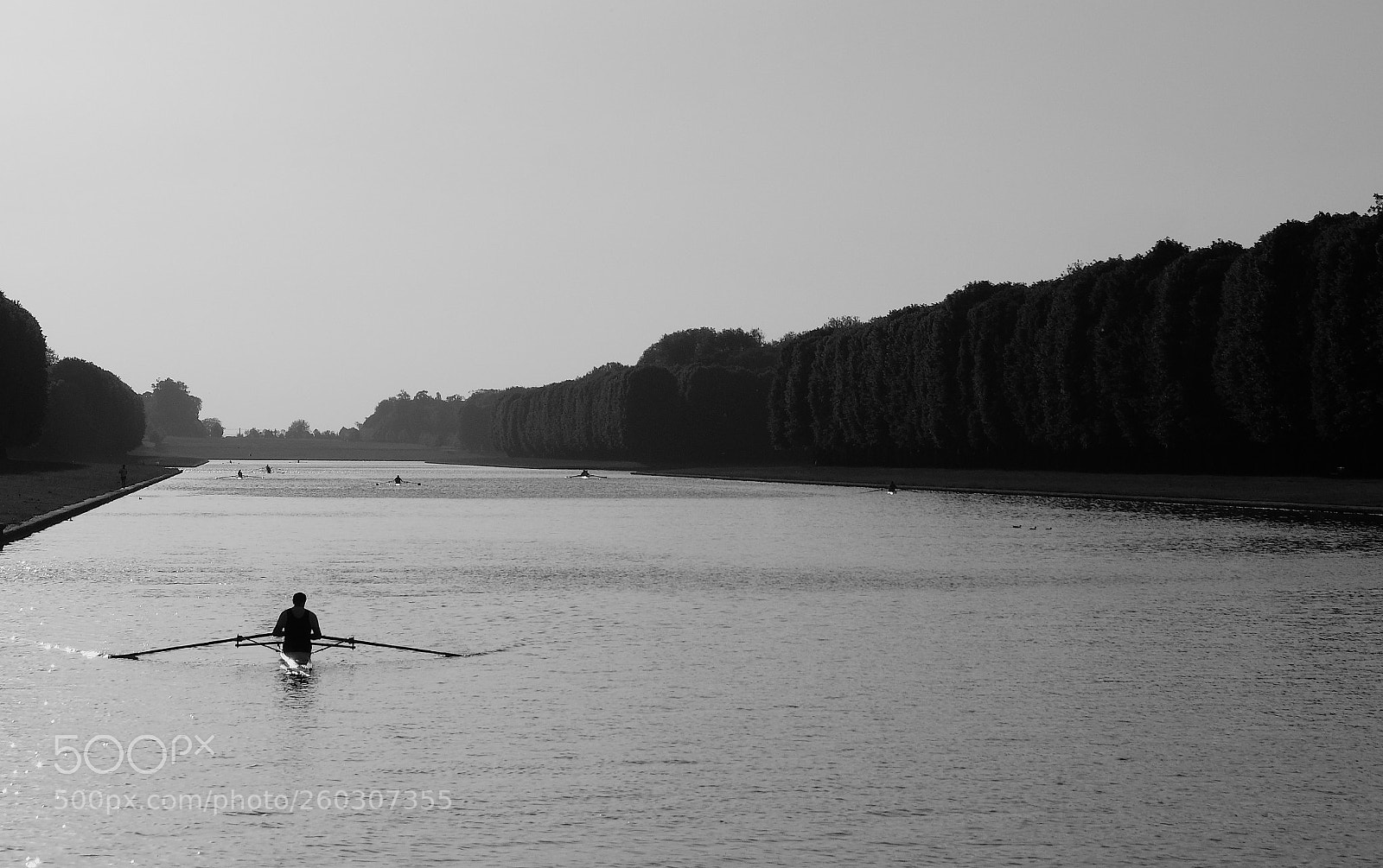 Fujifilm X-T20 sample photo. Oarsman photography