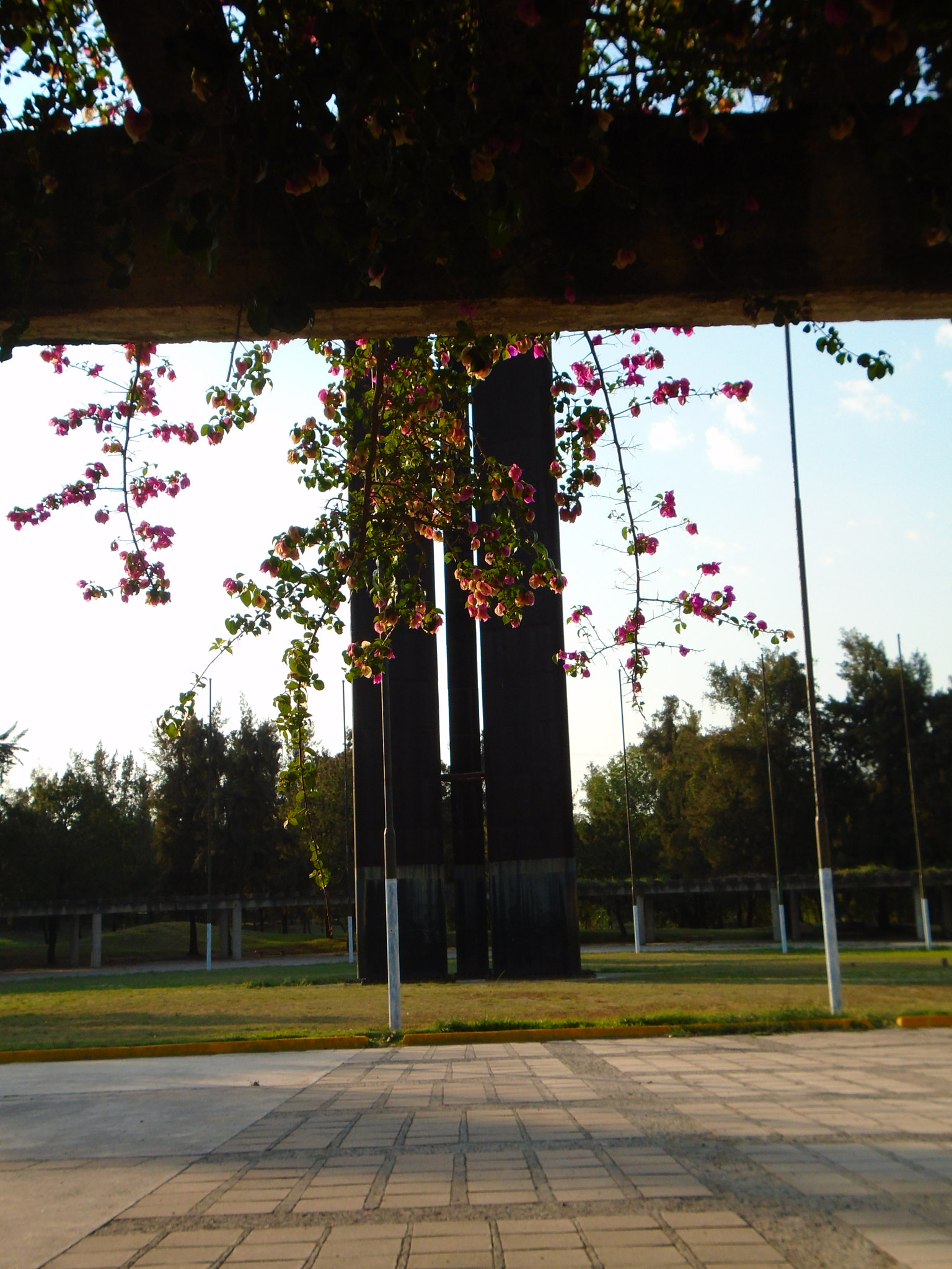 Sony Cyber-shot DSC-W800 sample photo. Sombra💕 photography