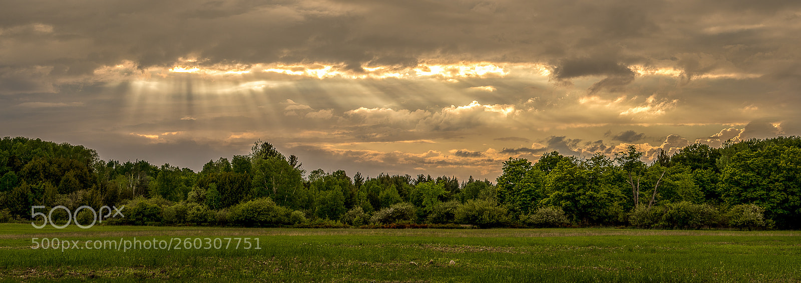 Nikon D750 sample photo. Peaceful evening photography