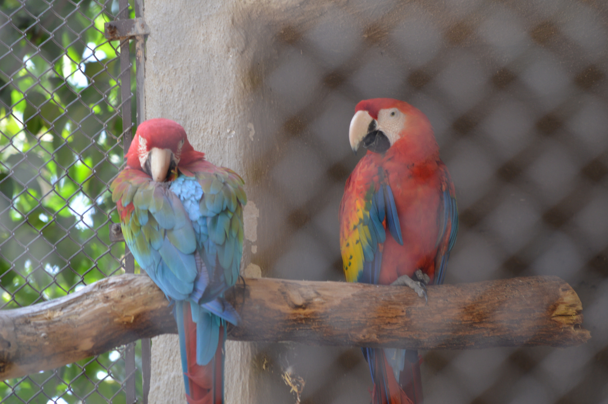 Nikon D3200 sample photo. Las amigas photography