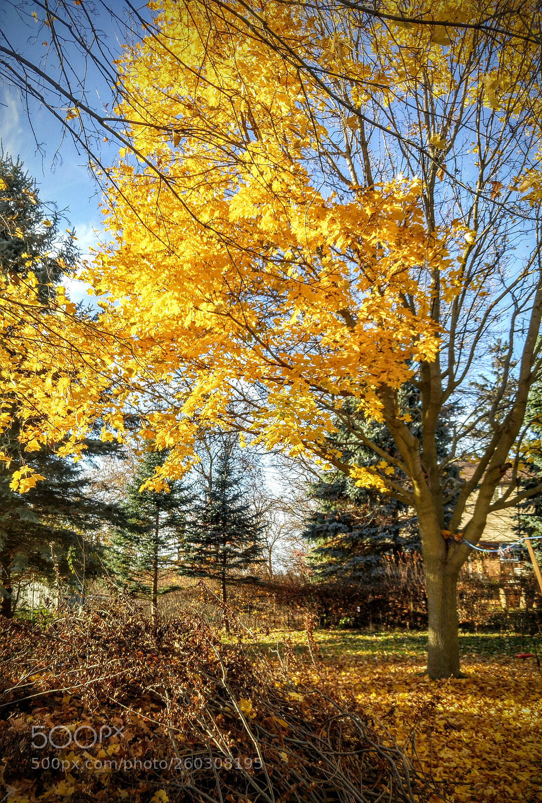 LG G4 sample photo. Hdr photography