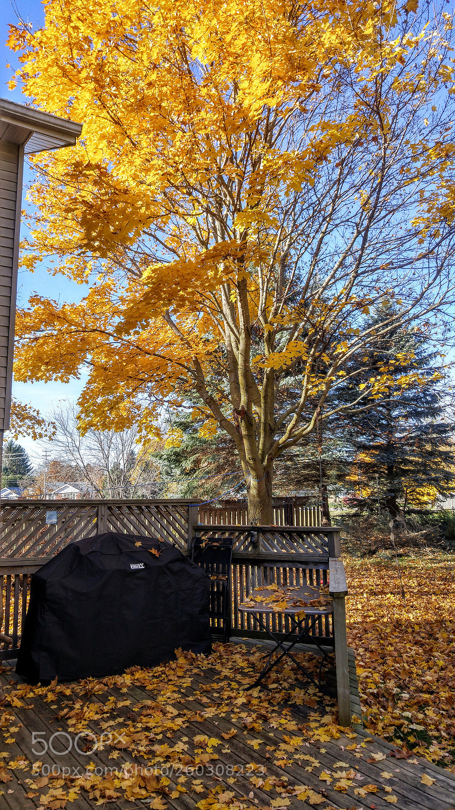 LG G4 sample photo. Hdr photography
