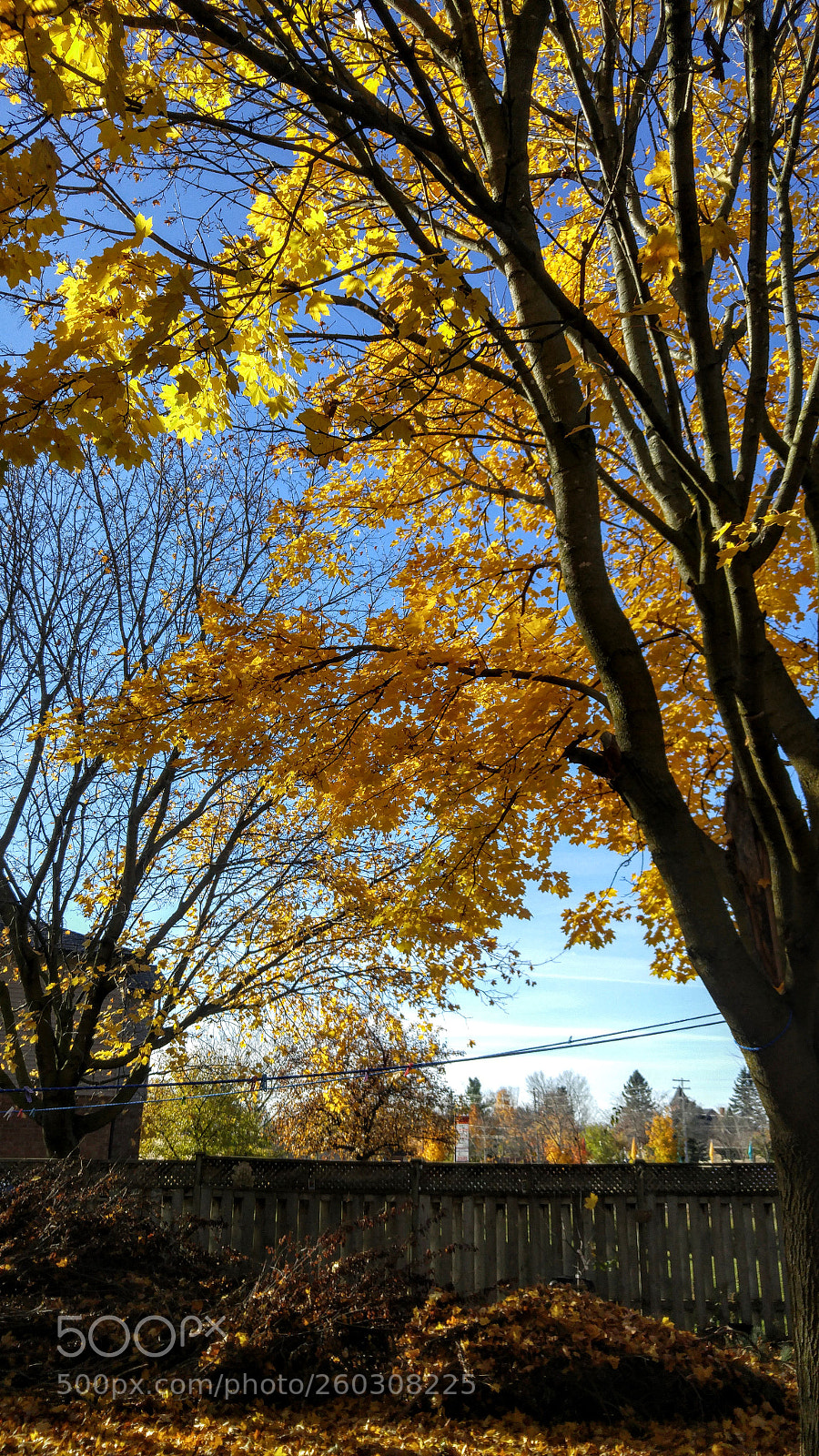 LG G4 sample photo. 20161106_095203.jpg photography