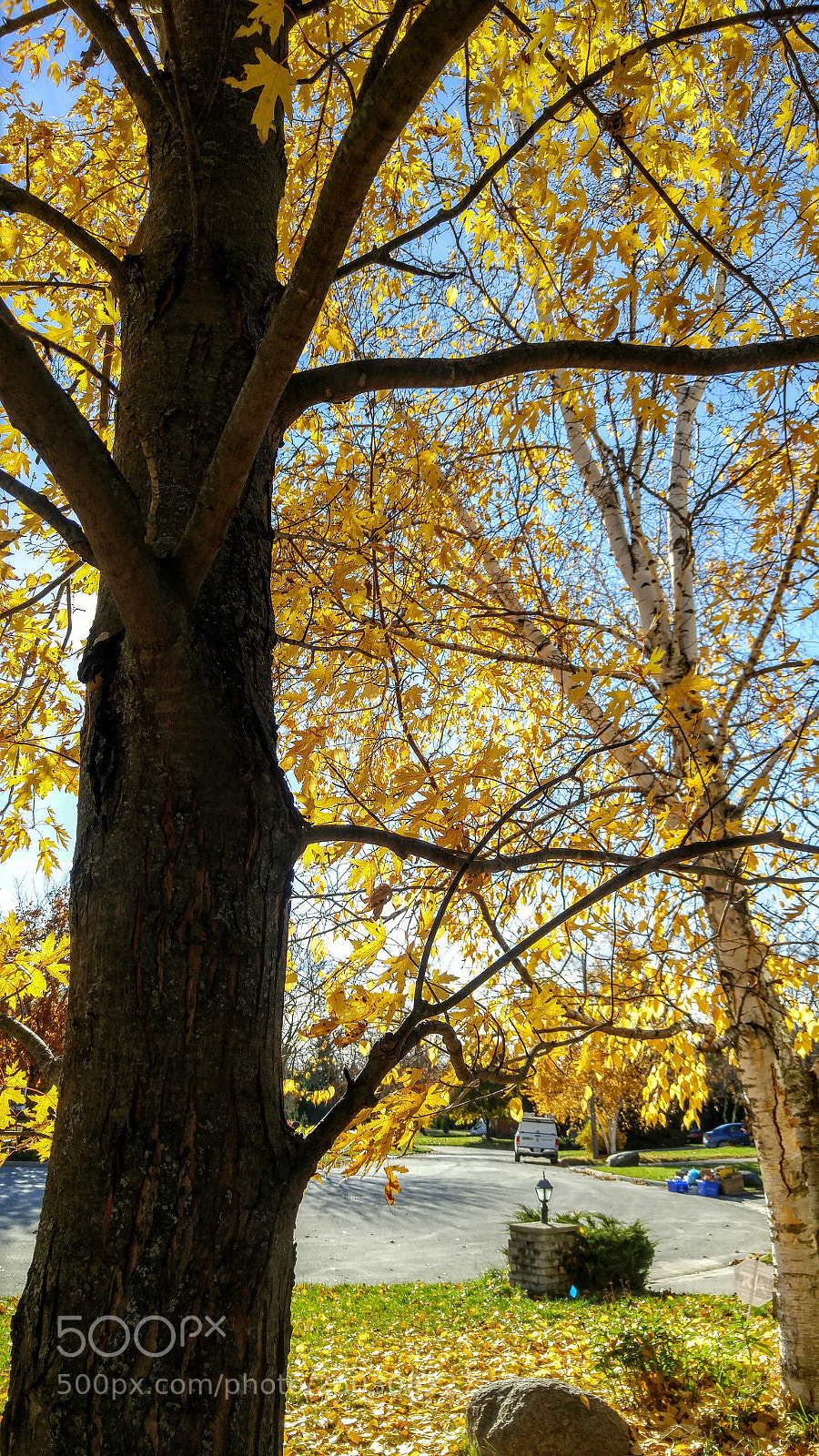 LG G4 sample photo. Hdr photography