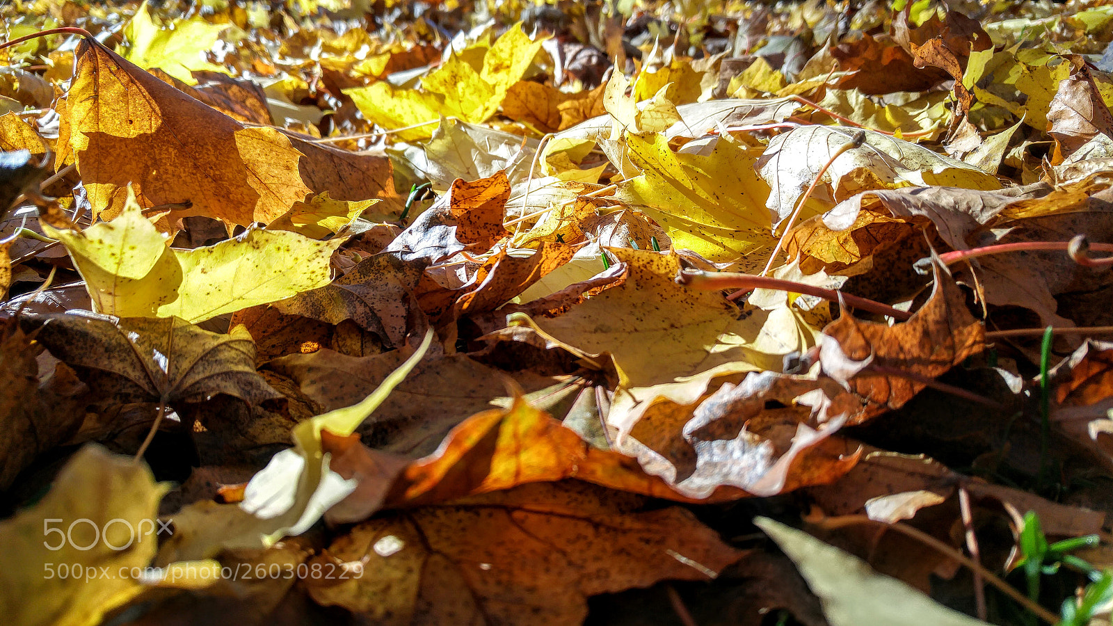 LG G4 sample photo. Hdr photography