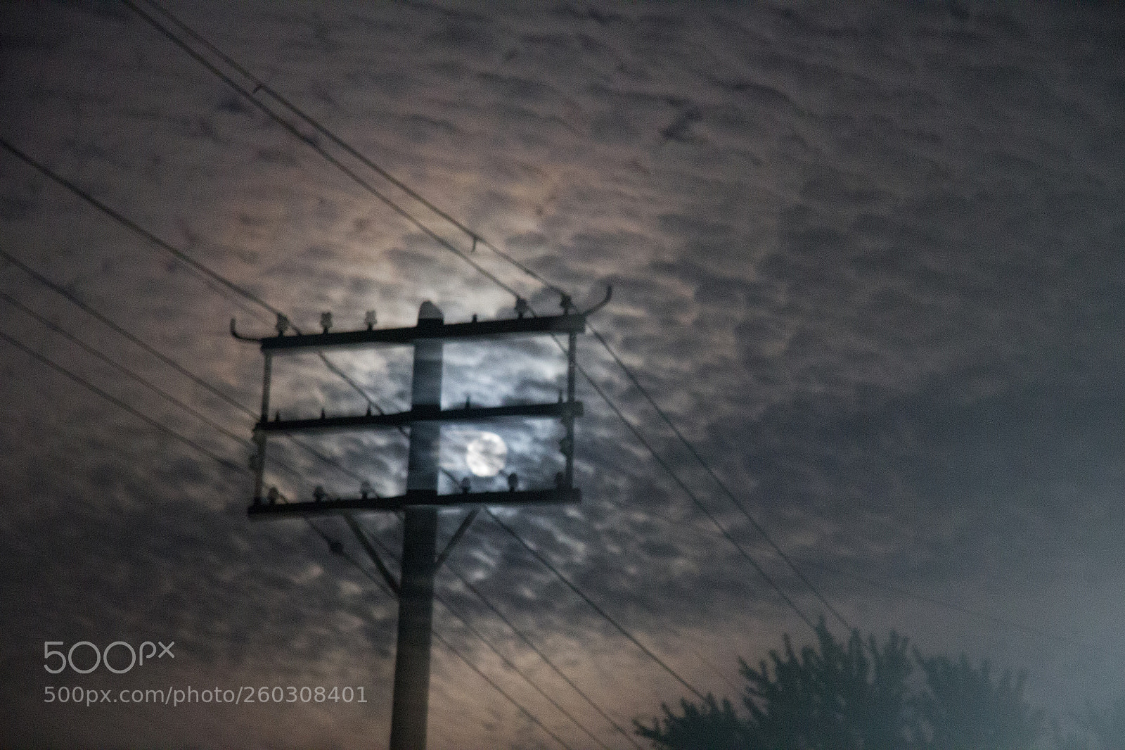 Canon EOS 550D (EOS Rebel T2i / EOS Kiss X4) sample photo. Moon and utility pole photography