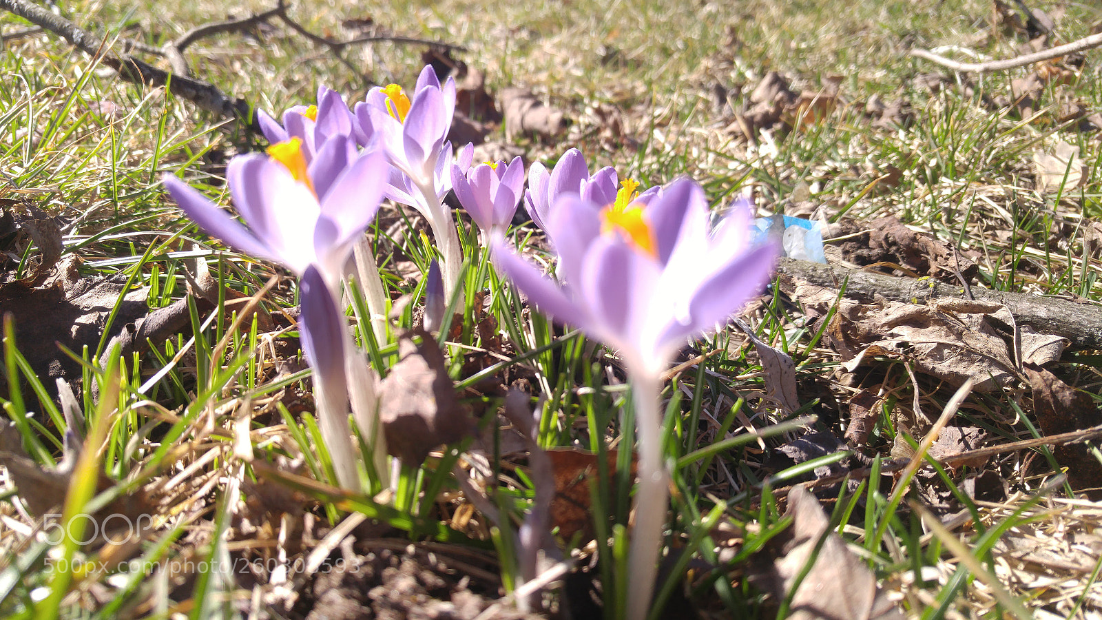 LG G4 sample photo. 20170401_154730.jpg photography