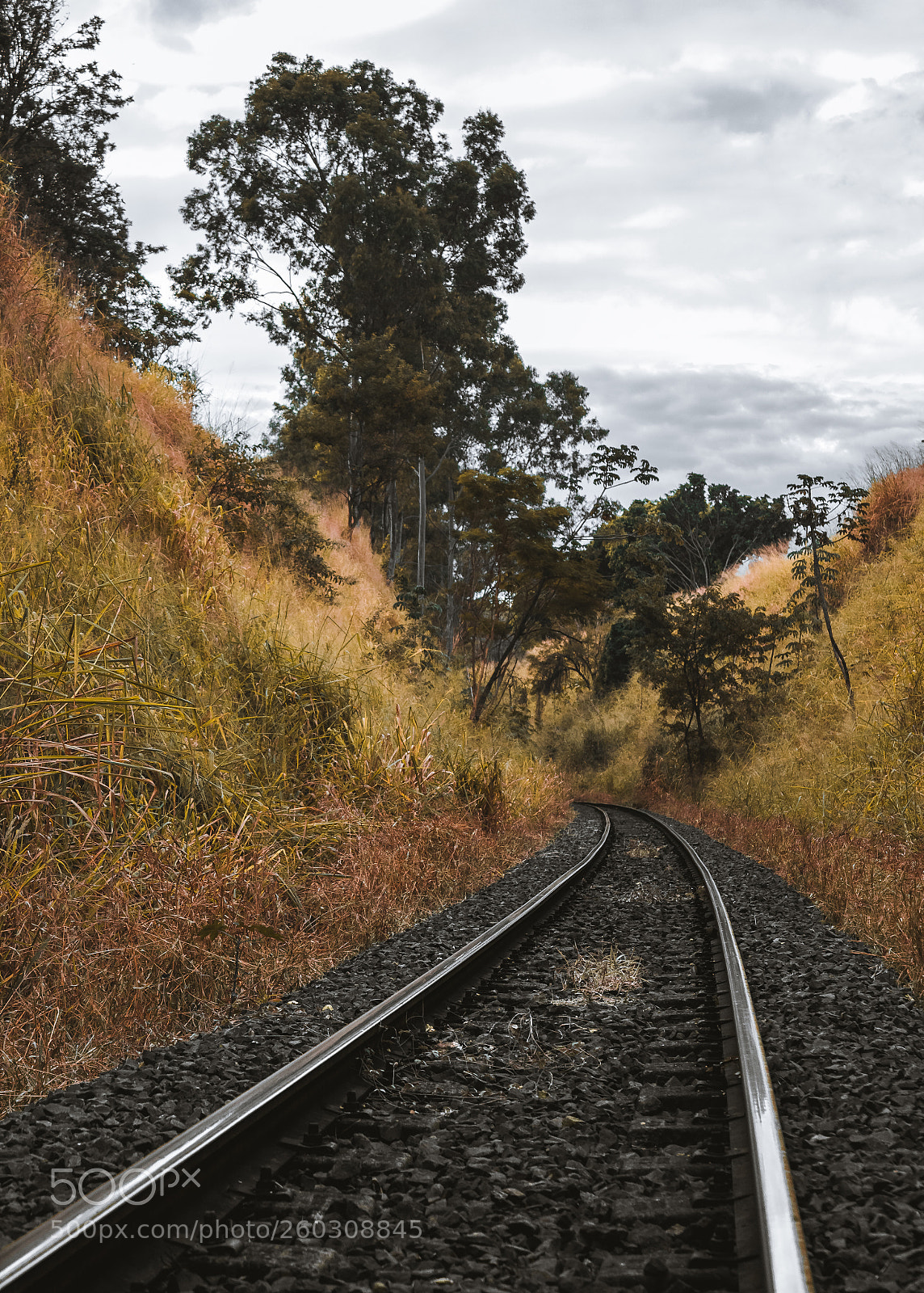 Canon EOS 1200D (EOS Rebel T5 / EOS Kiss X70 / EOS Hi) sample photo. Iron path photography