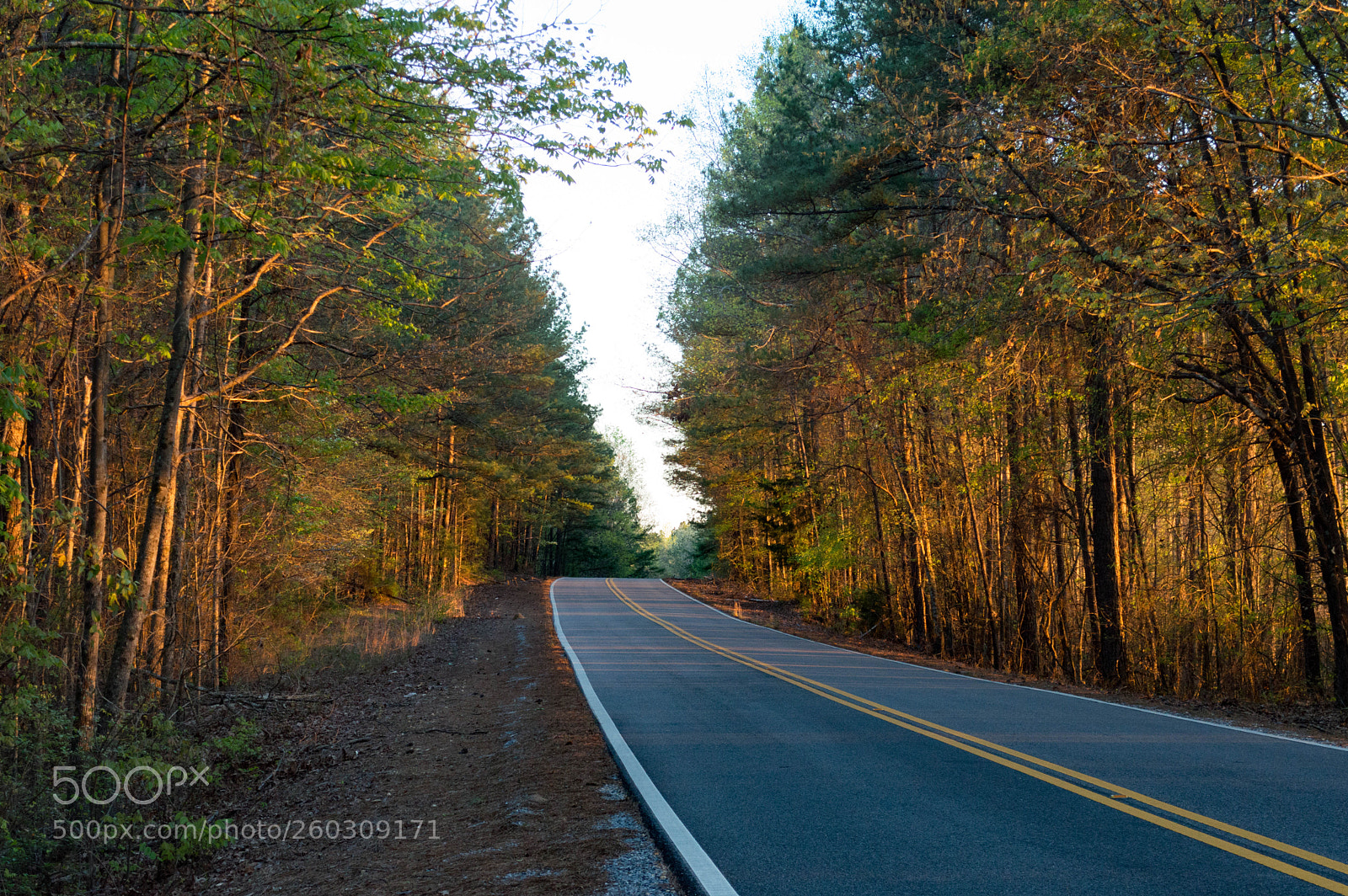 Nikon D3200 sample photo. Cdfdo photography