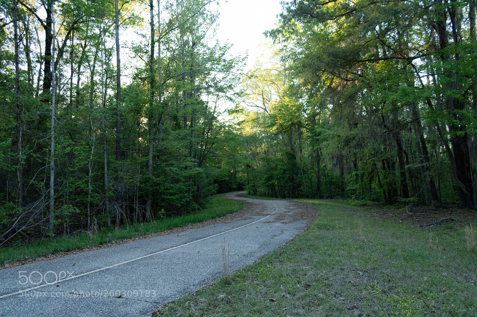 Nikon D3200 sample photo. Dcbo photography