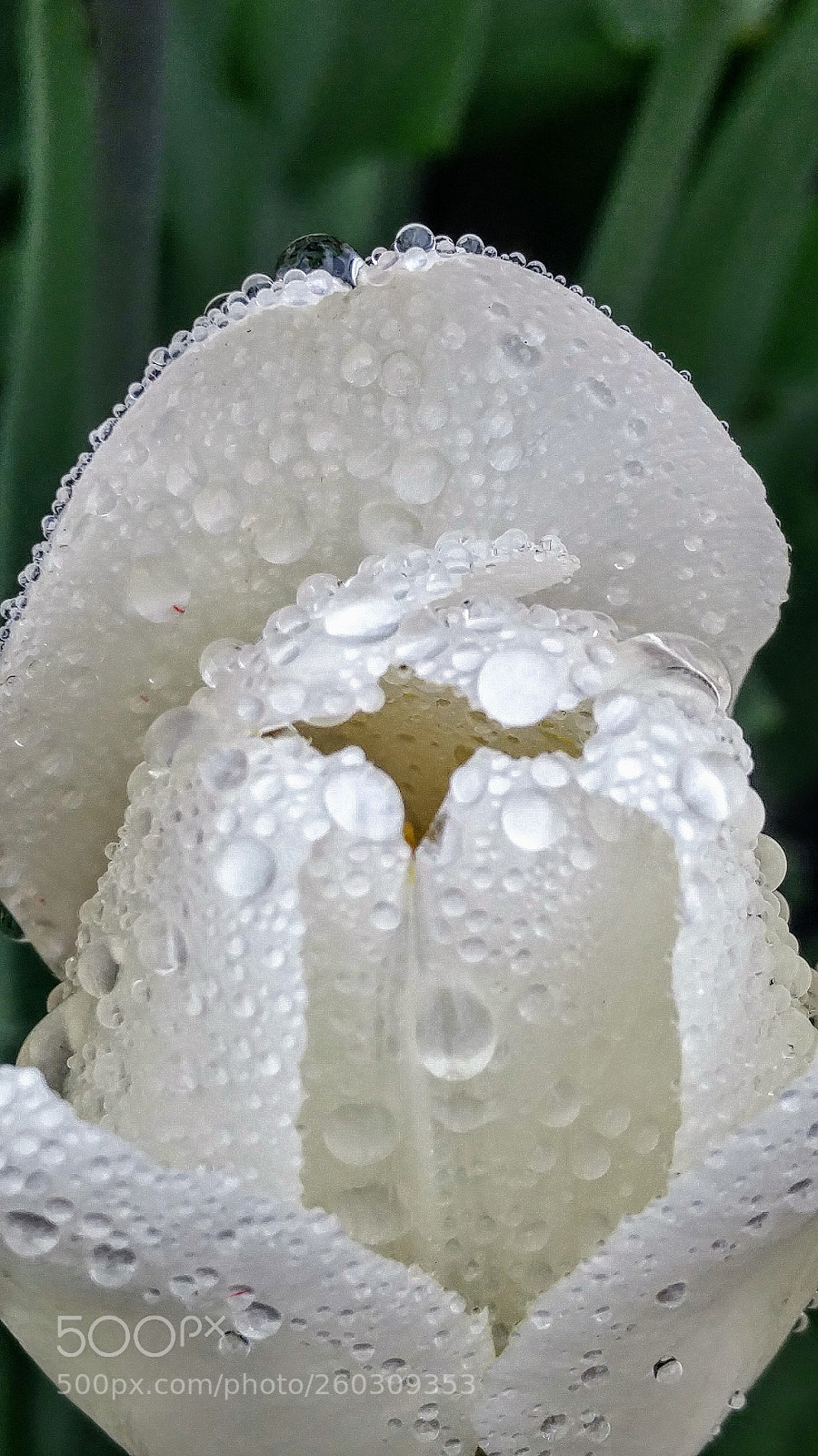 LG G4 sample photo. Hdr photography