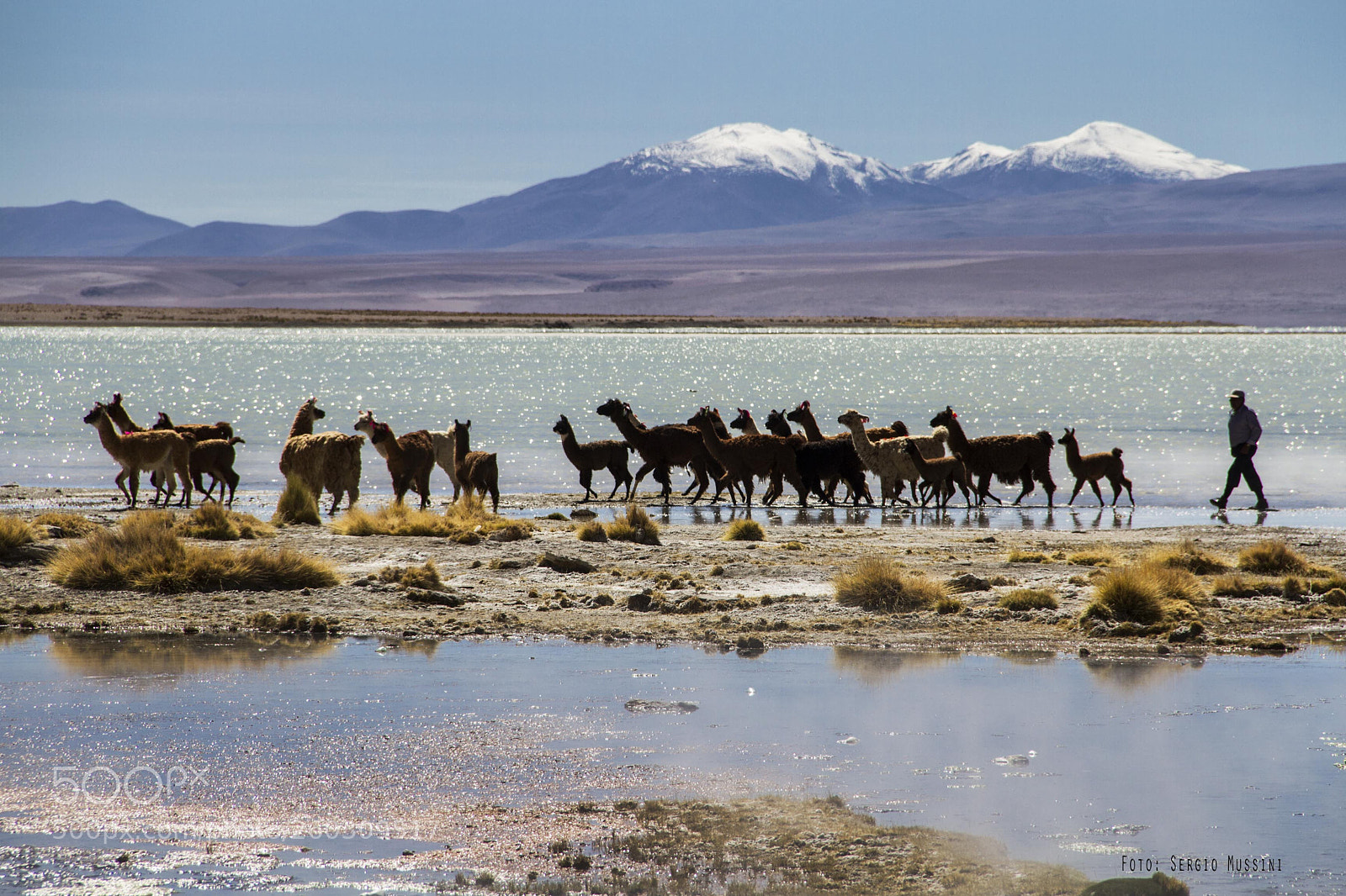 Canon EOS 7D sample photo. Polques - bolivia photography