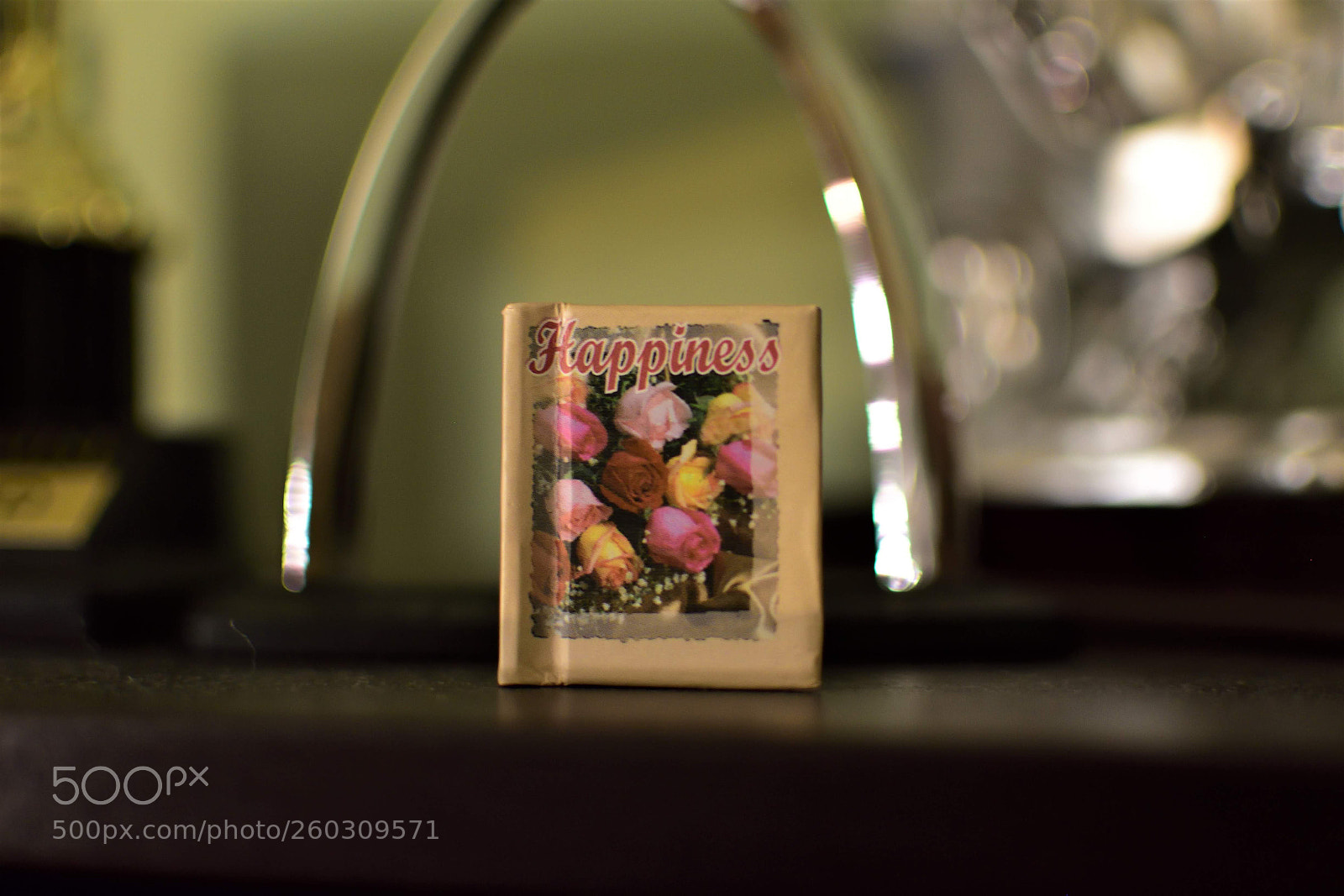 Nikon D5500 sample photo. Happiness photography