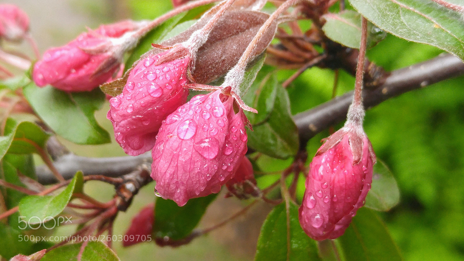 LG G4 sample photo. 20170522_115431.jpg photography