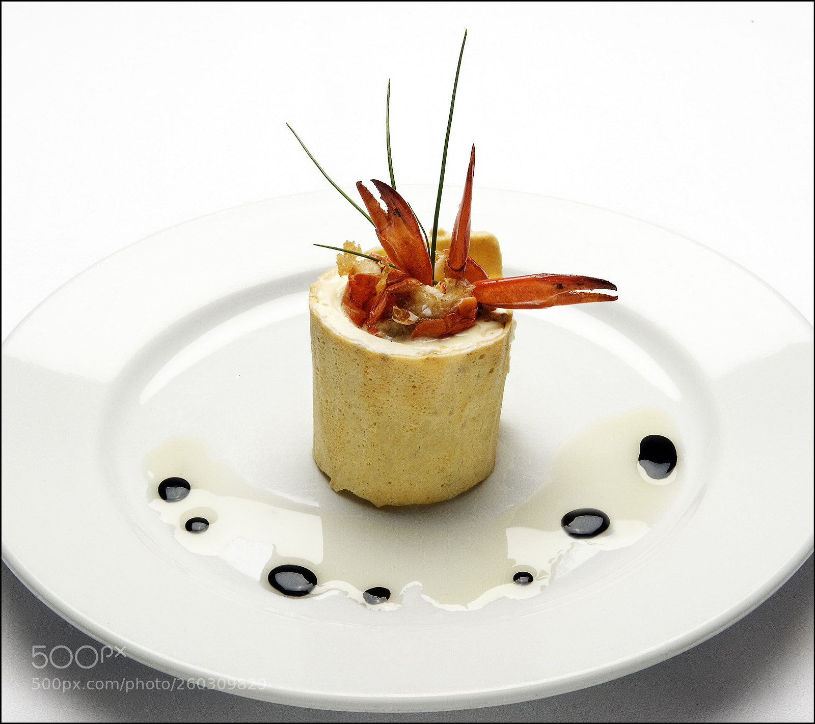 Nikon D200 sample photo. Crayfish mousse with balsamic photography