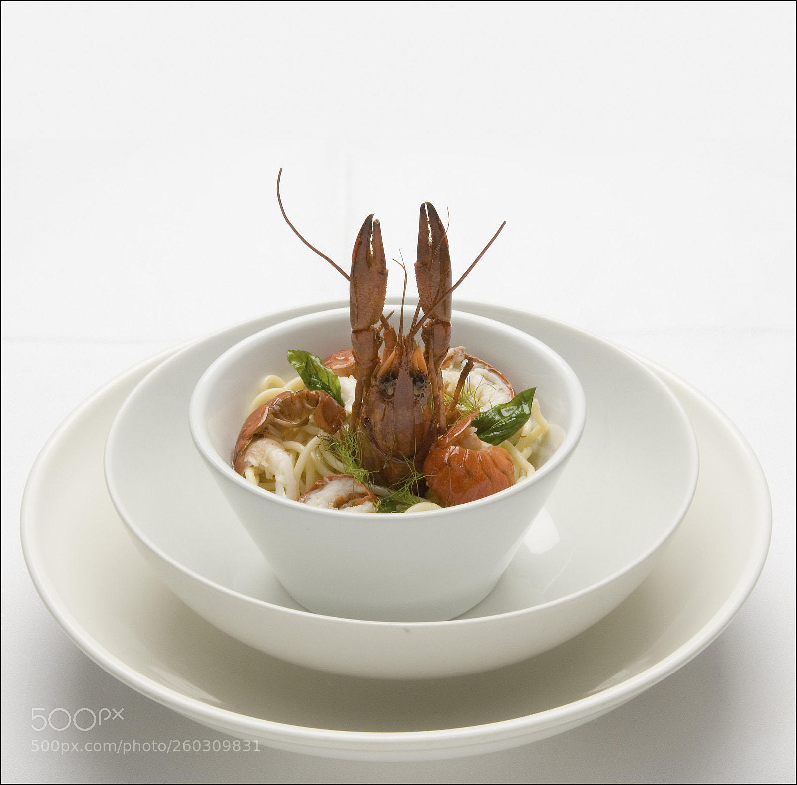 Nikon D200 sample photo. Crayfish with noodles photography