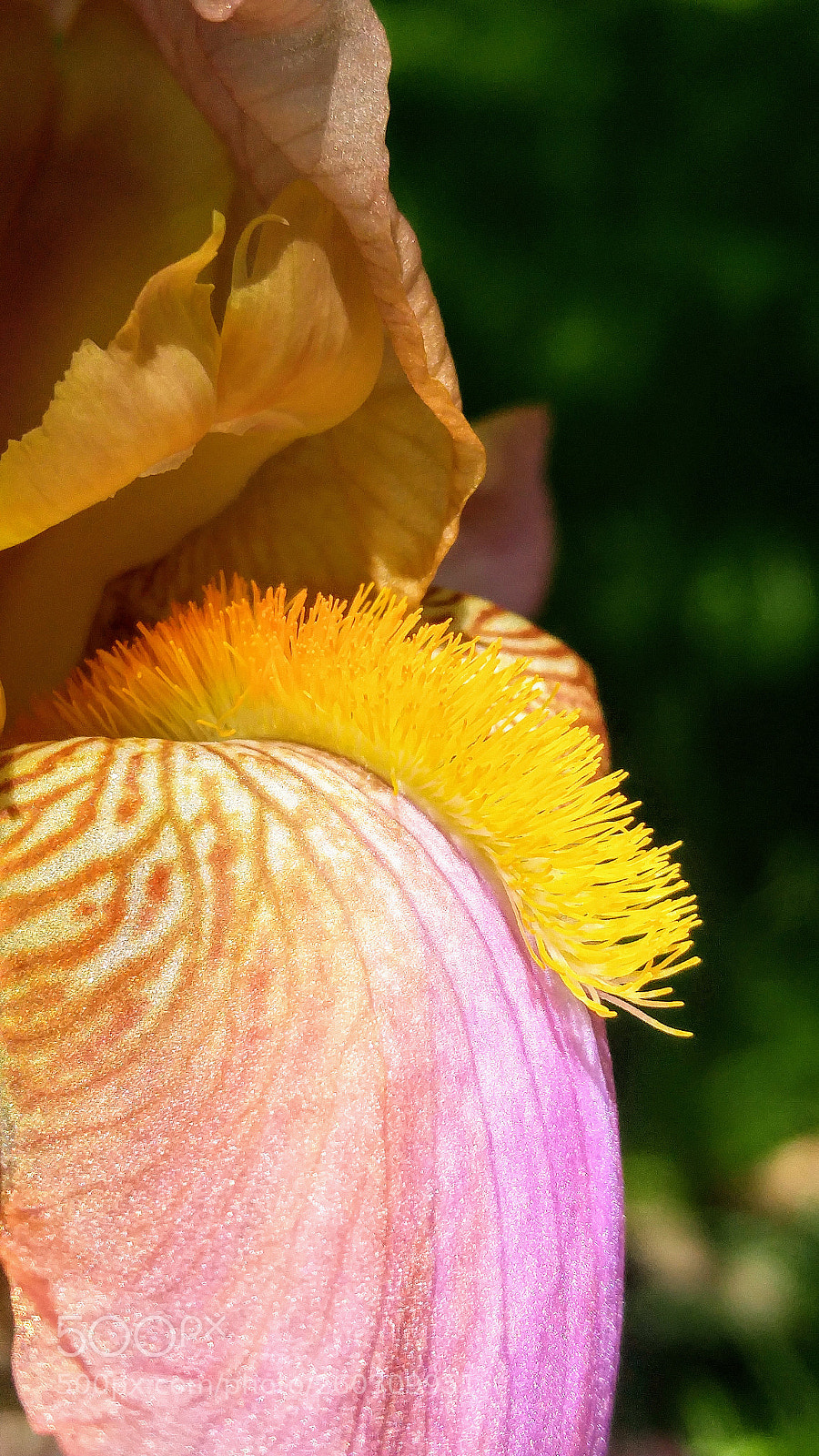 LG G4 sample photo. Hdr photography
