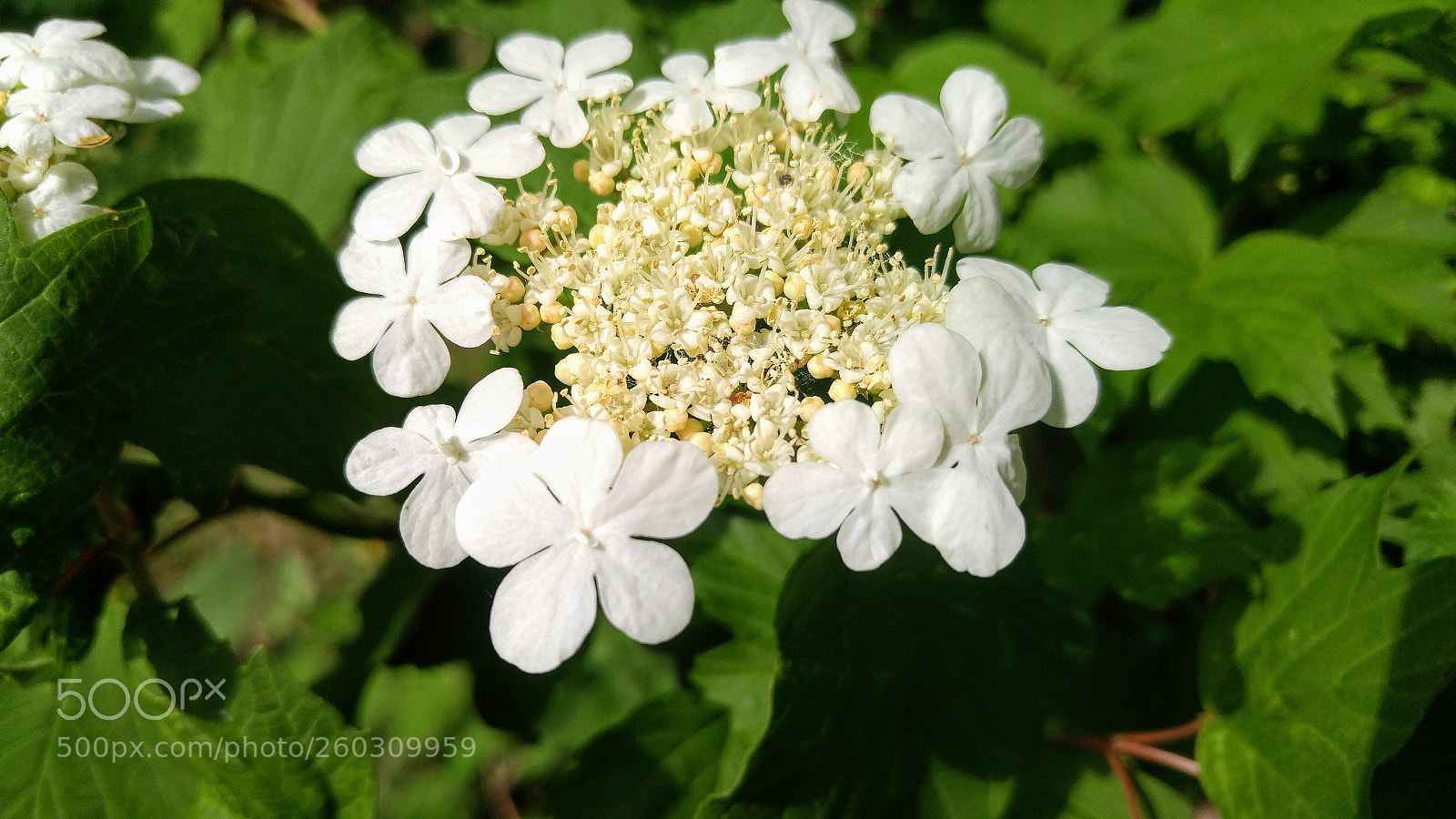 LG G4 sample photo. Hdr photography