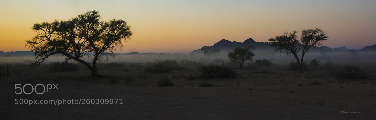 Nikon D800 sample photo. A beautiful african dawn photography