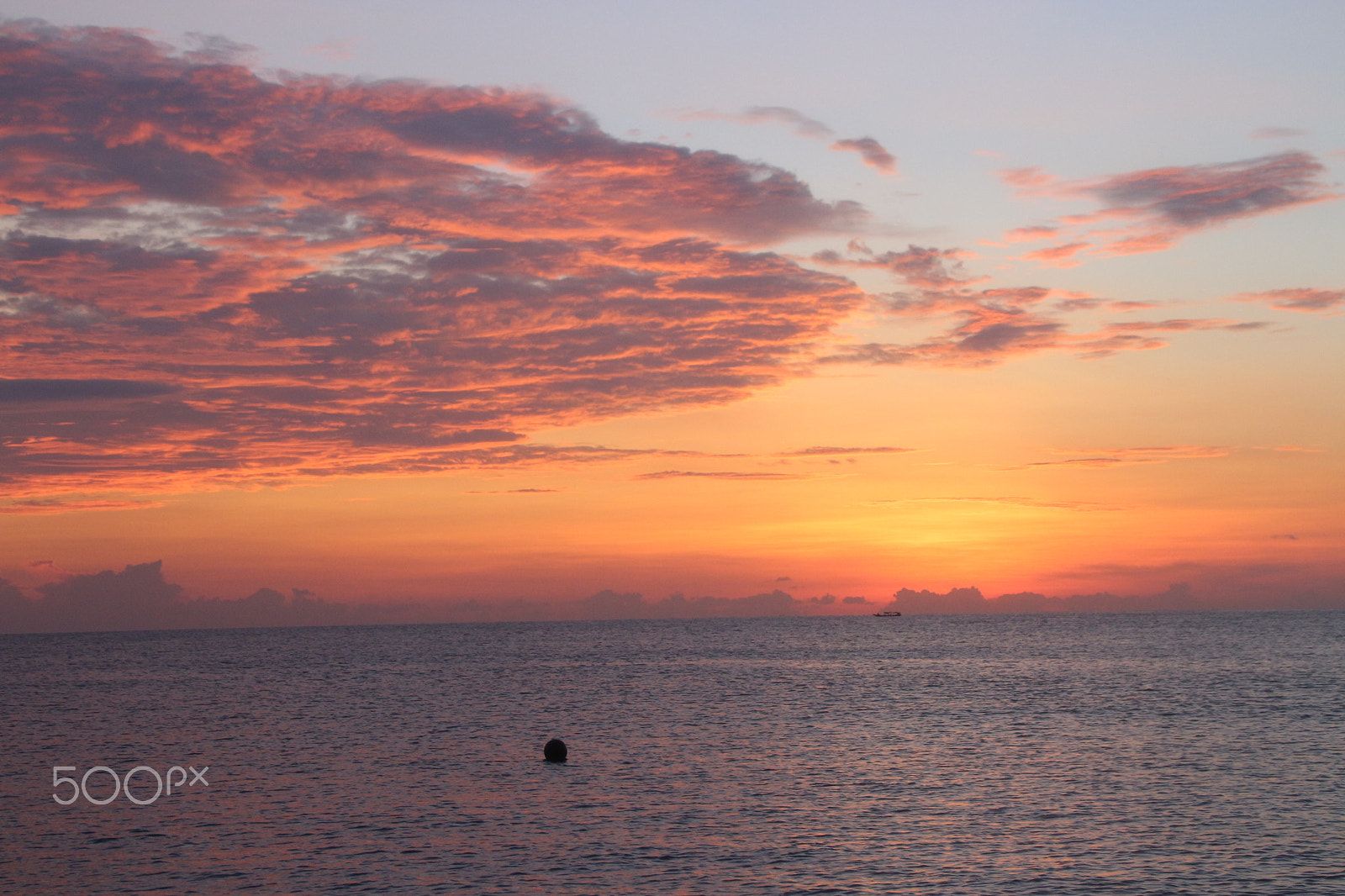 Canon EOS 700D (EOS Rebel T5i / EOS Kiss X7i) + Canon TS-E 90mm F2.8 Tilt-Shift sample photo. Sunrise di pulau menjangan photography