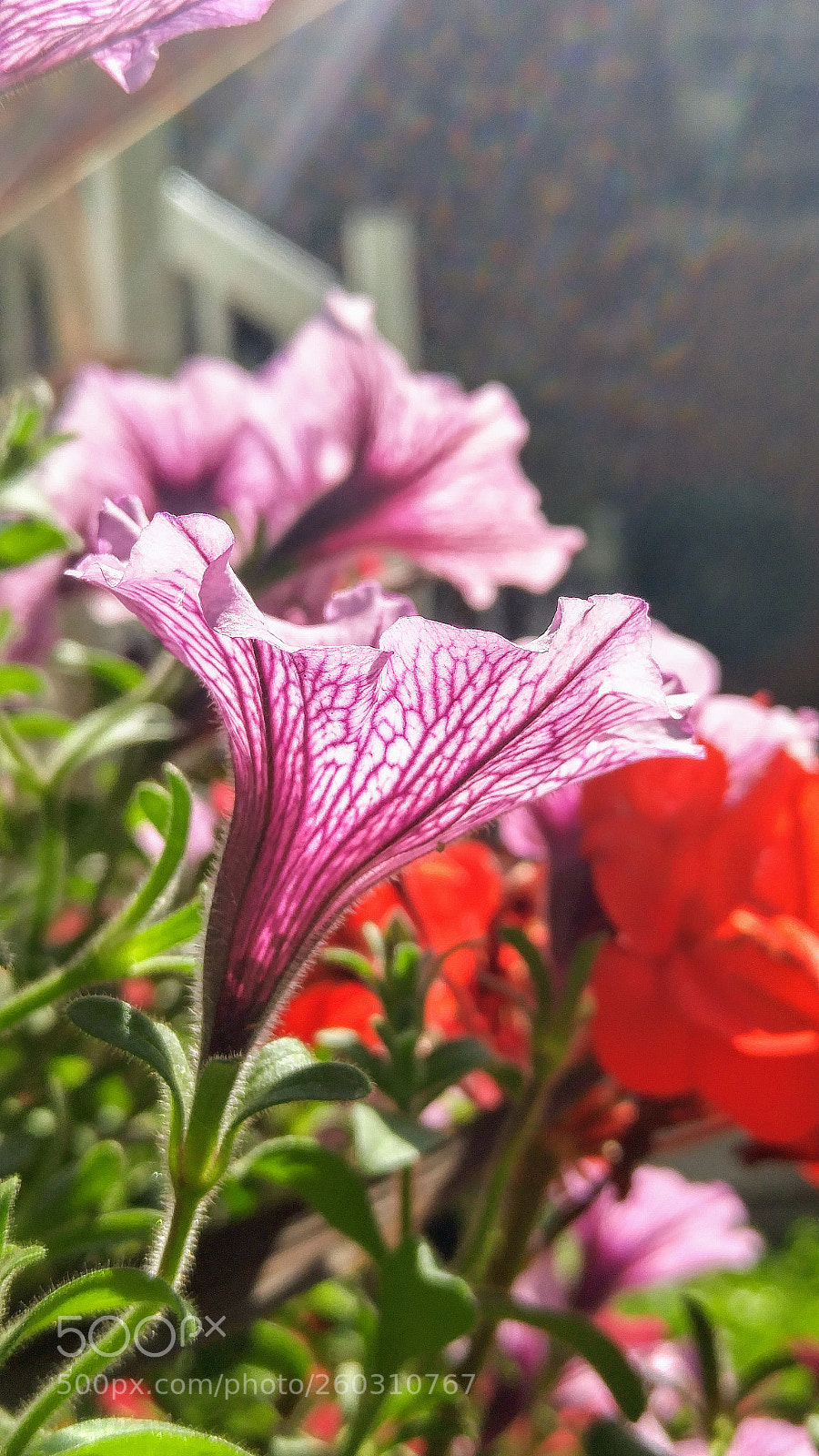 LG G4 sample photo. Hdr photography