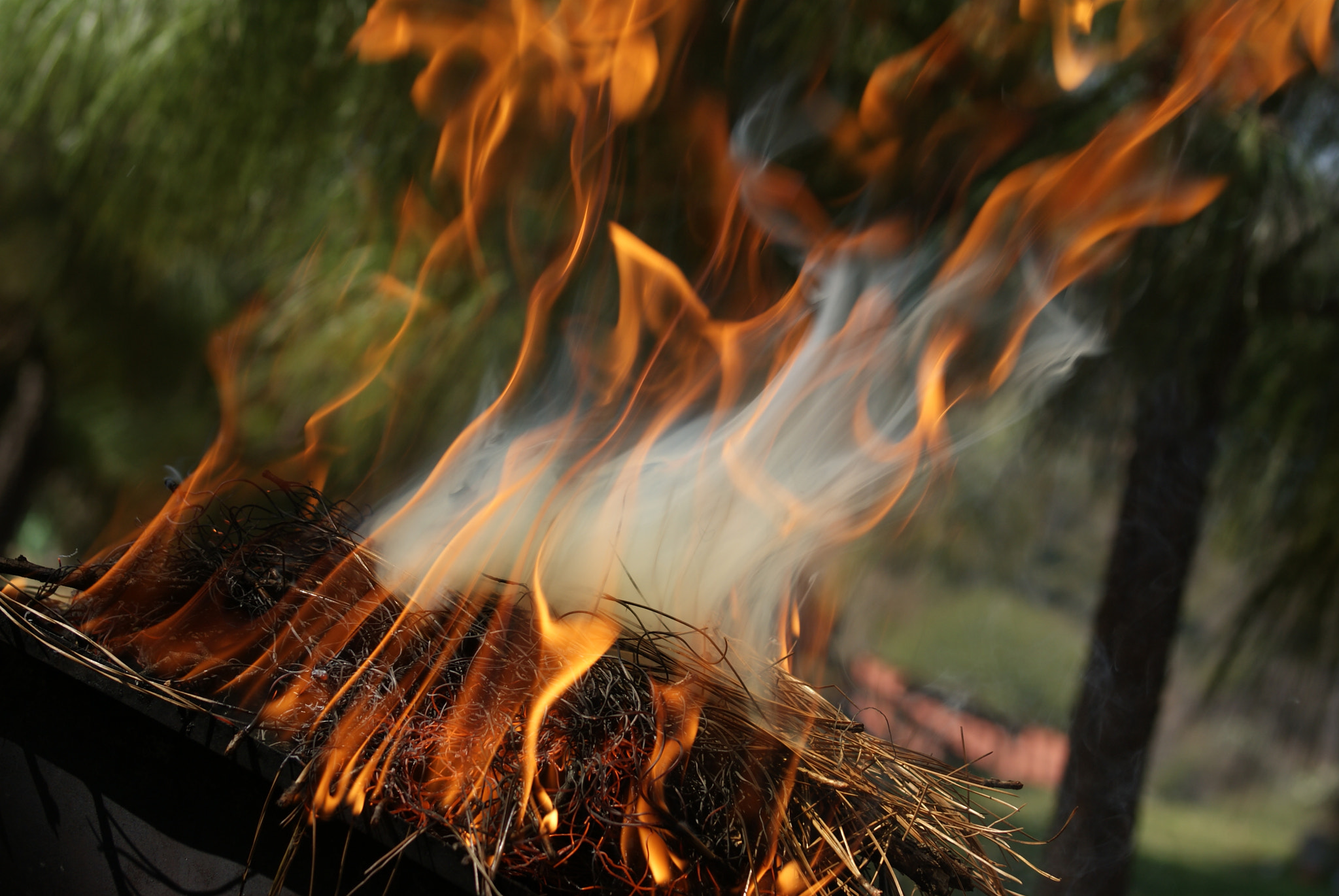 Sony 75-300mm F4.5-5.6 sample photo. Fire photography