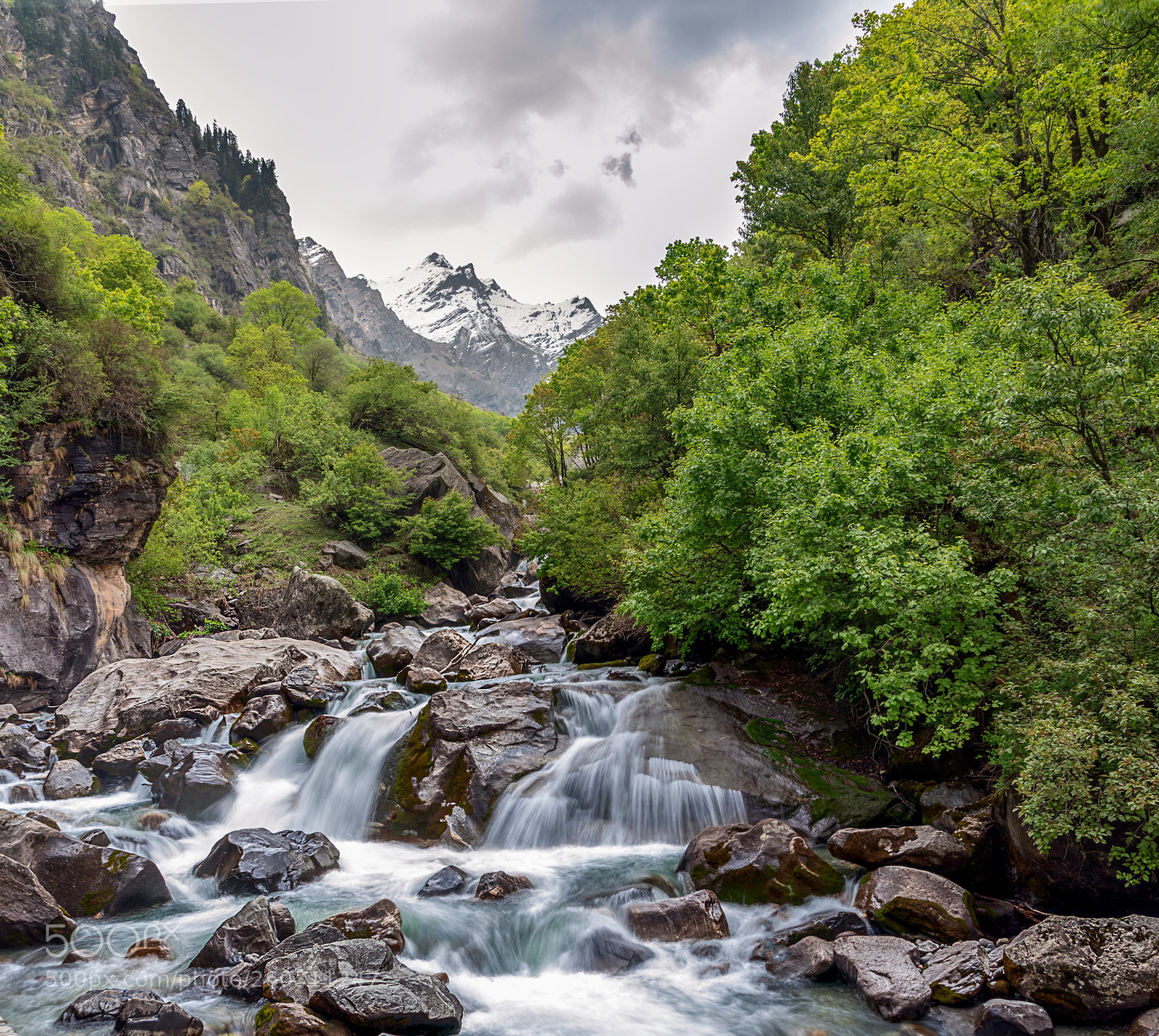 Nikon D750 sample photo. Jungle stream photography