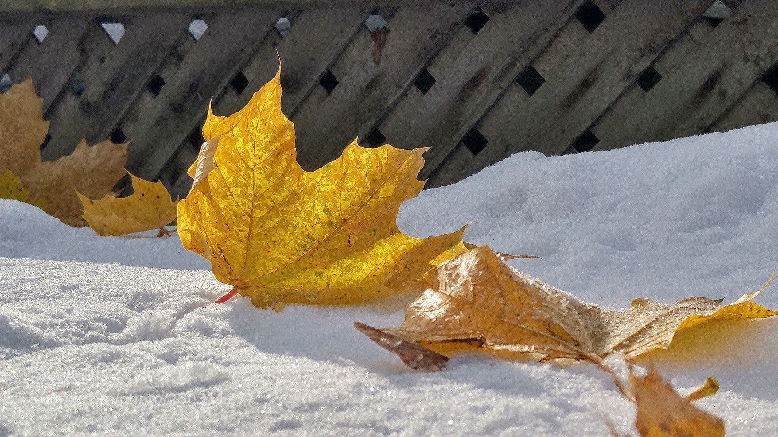 LG G4 sample photo. Hdr photography