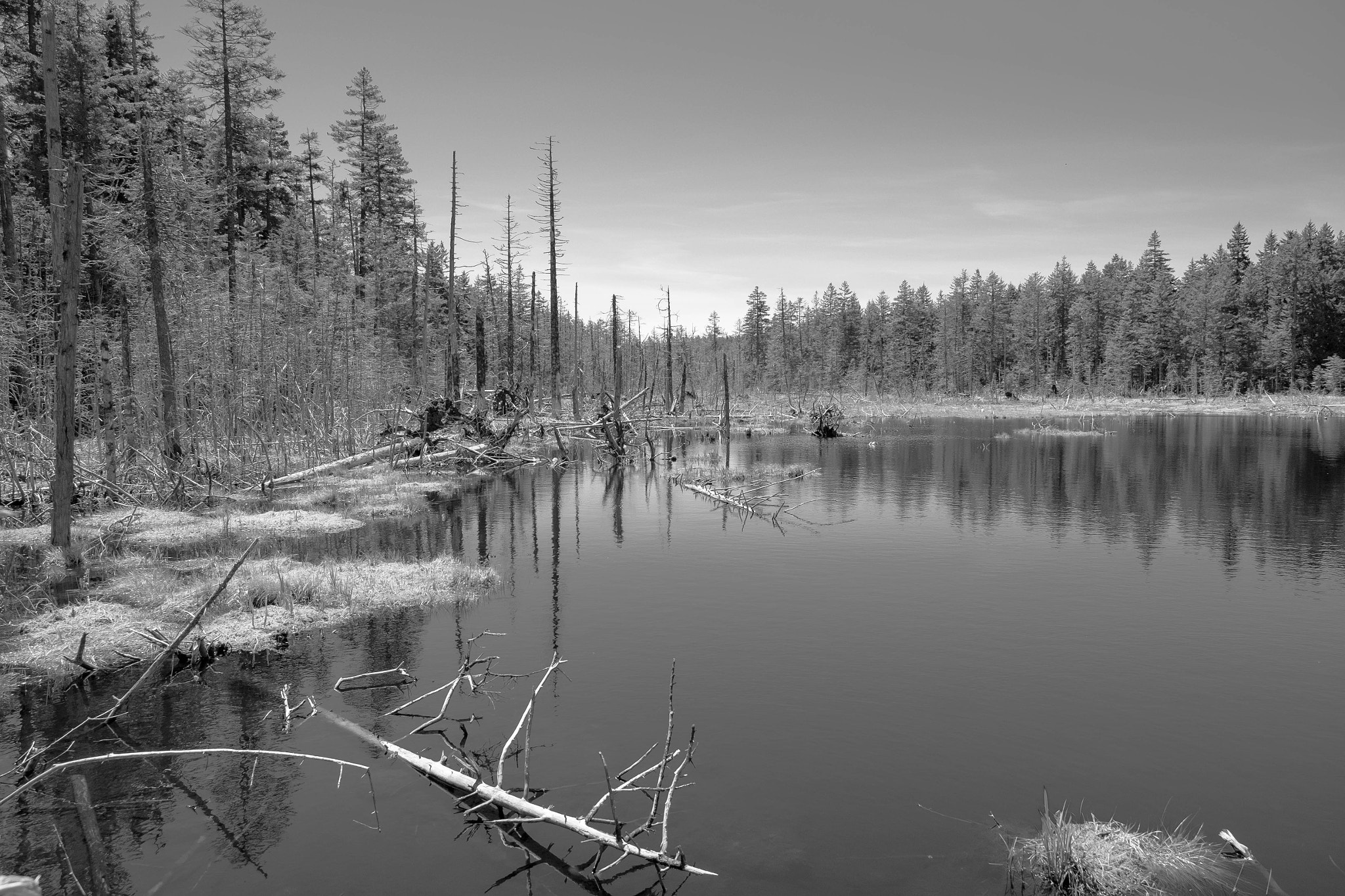 Fujifilm X-E1 sample photo. Peaceful lake photography