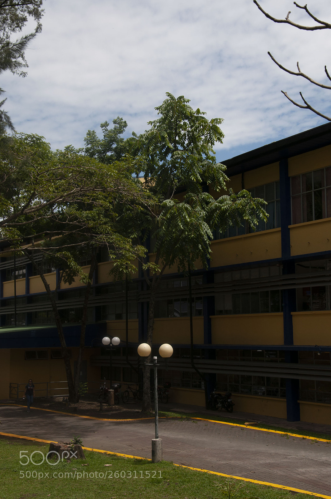 Nikon D90 sample photo. Foto 2 photography