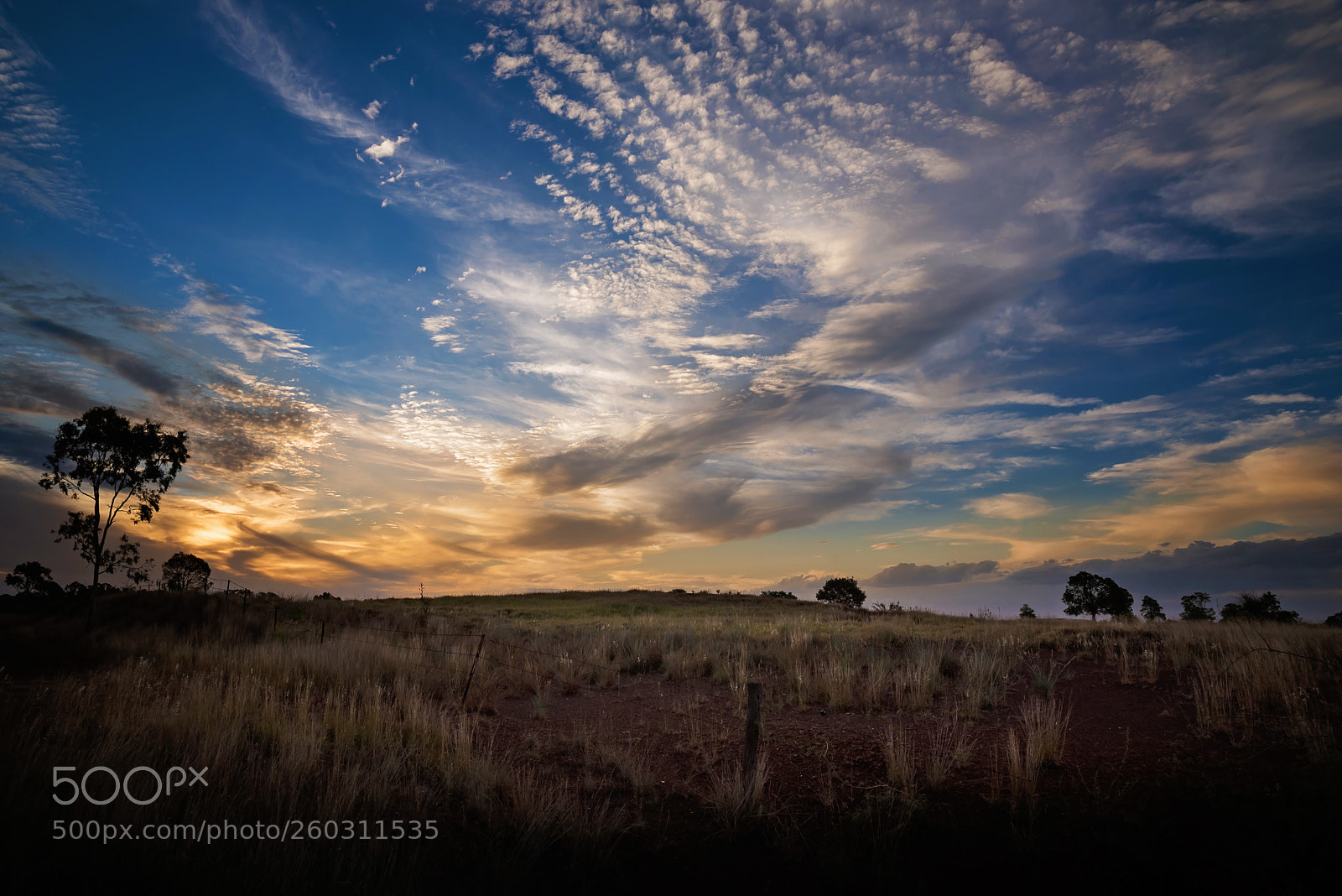 Nikon D750 sample photo. Bushland photography