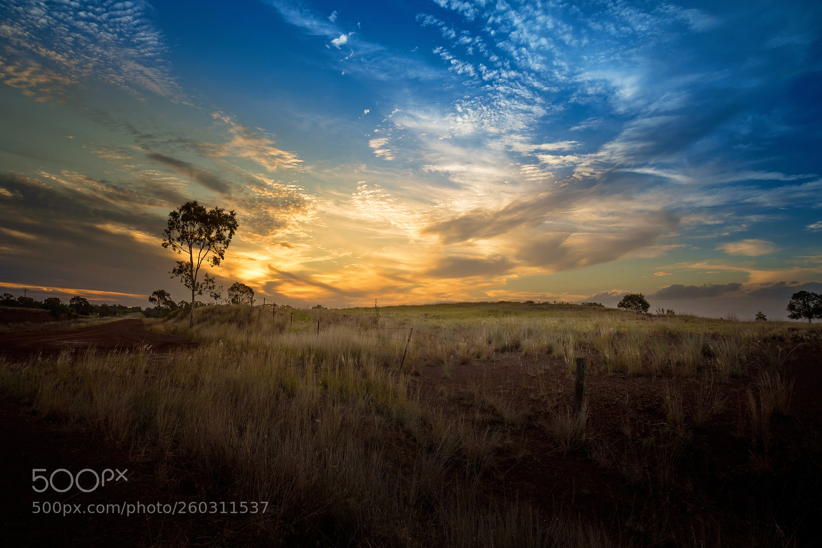 Nikon D750 sample photo. The outback photography