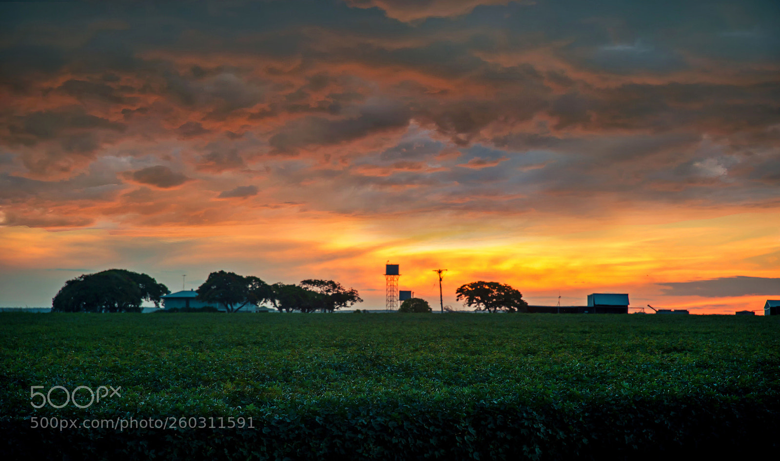 Nikon D750 sample photo. Thefarm photography