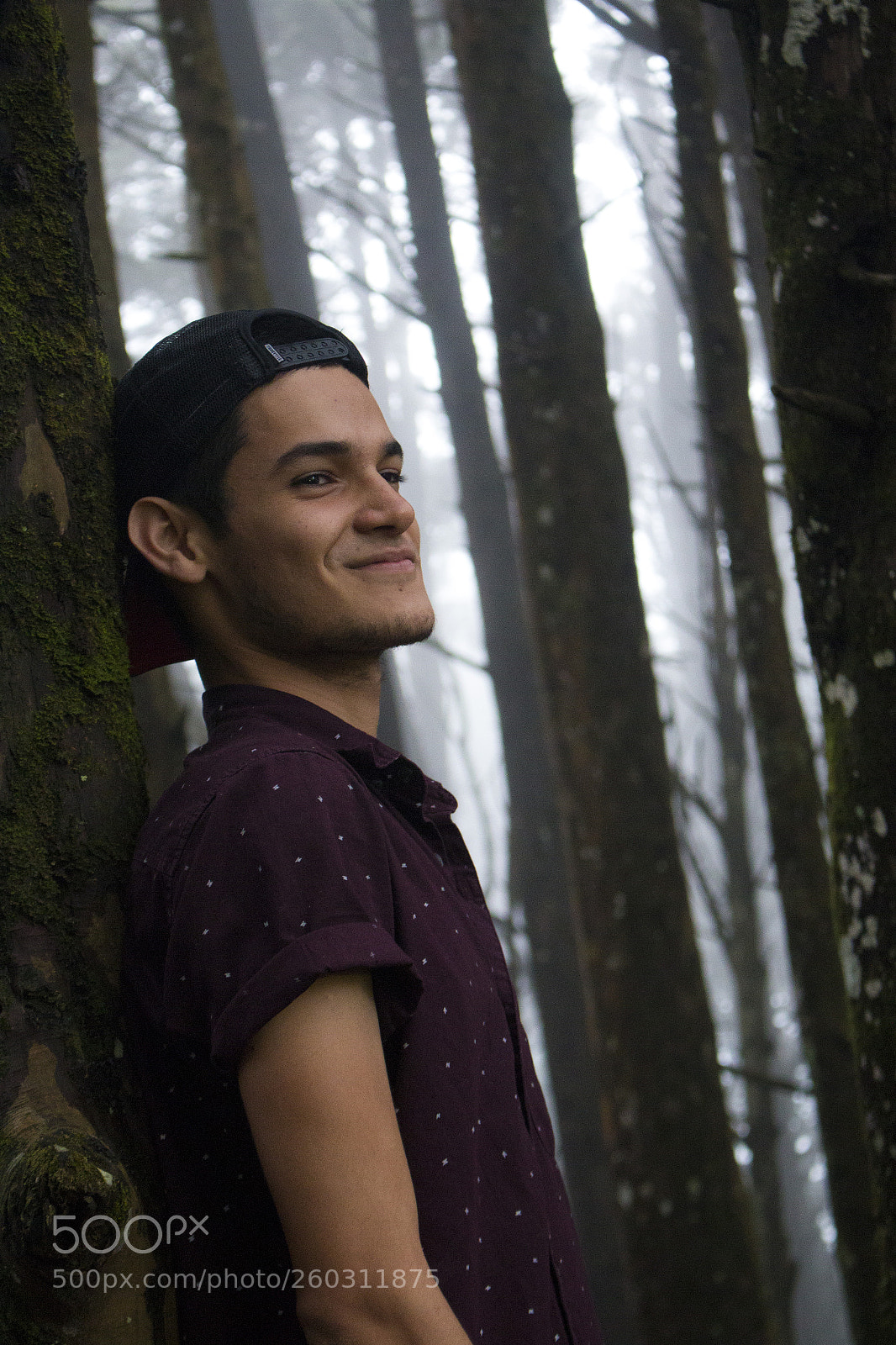 Canon EOS 70D sample photo. C photography