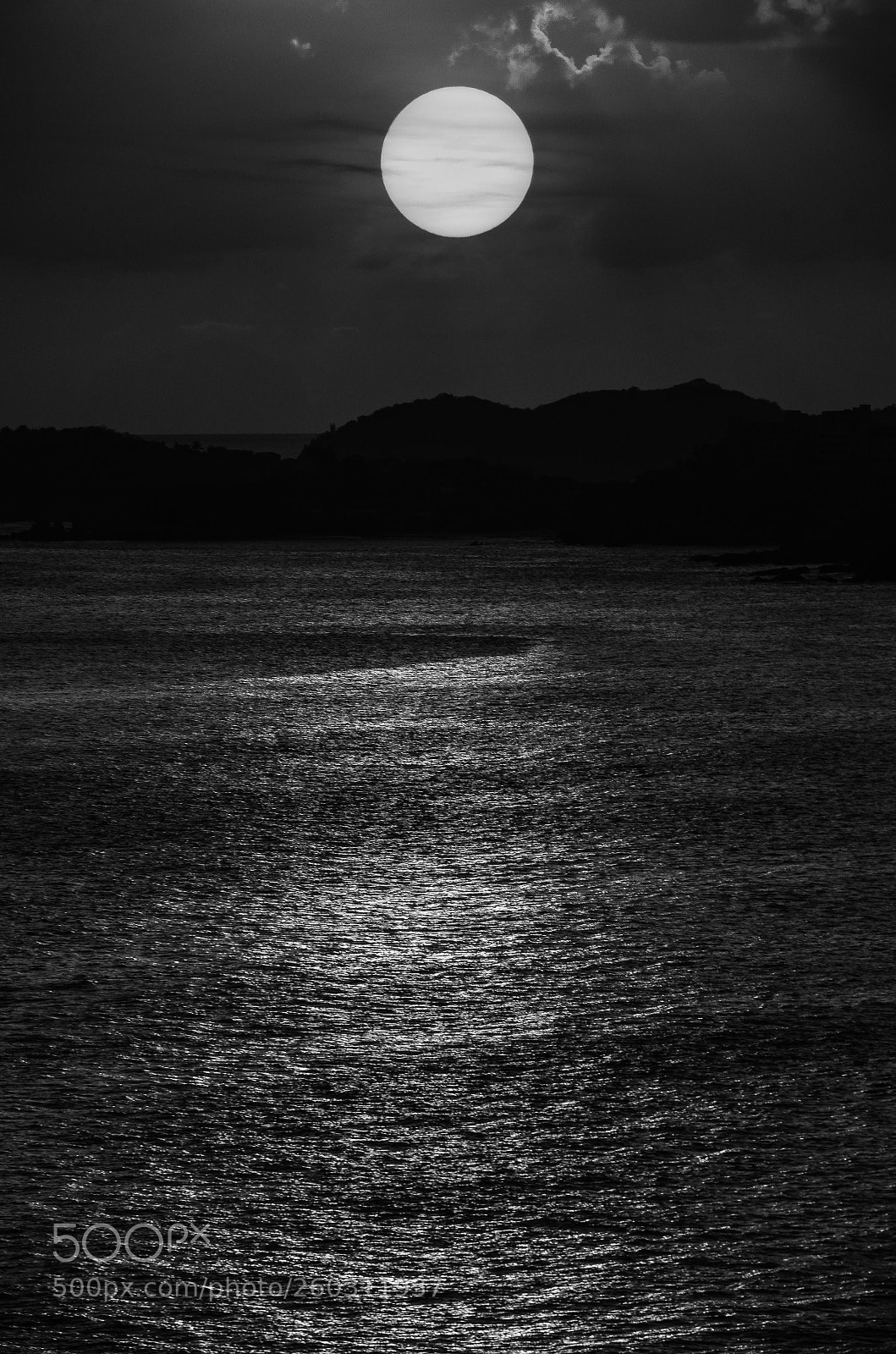 Nikon D7000 sample photo. Untitled photography
