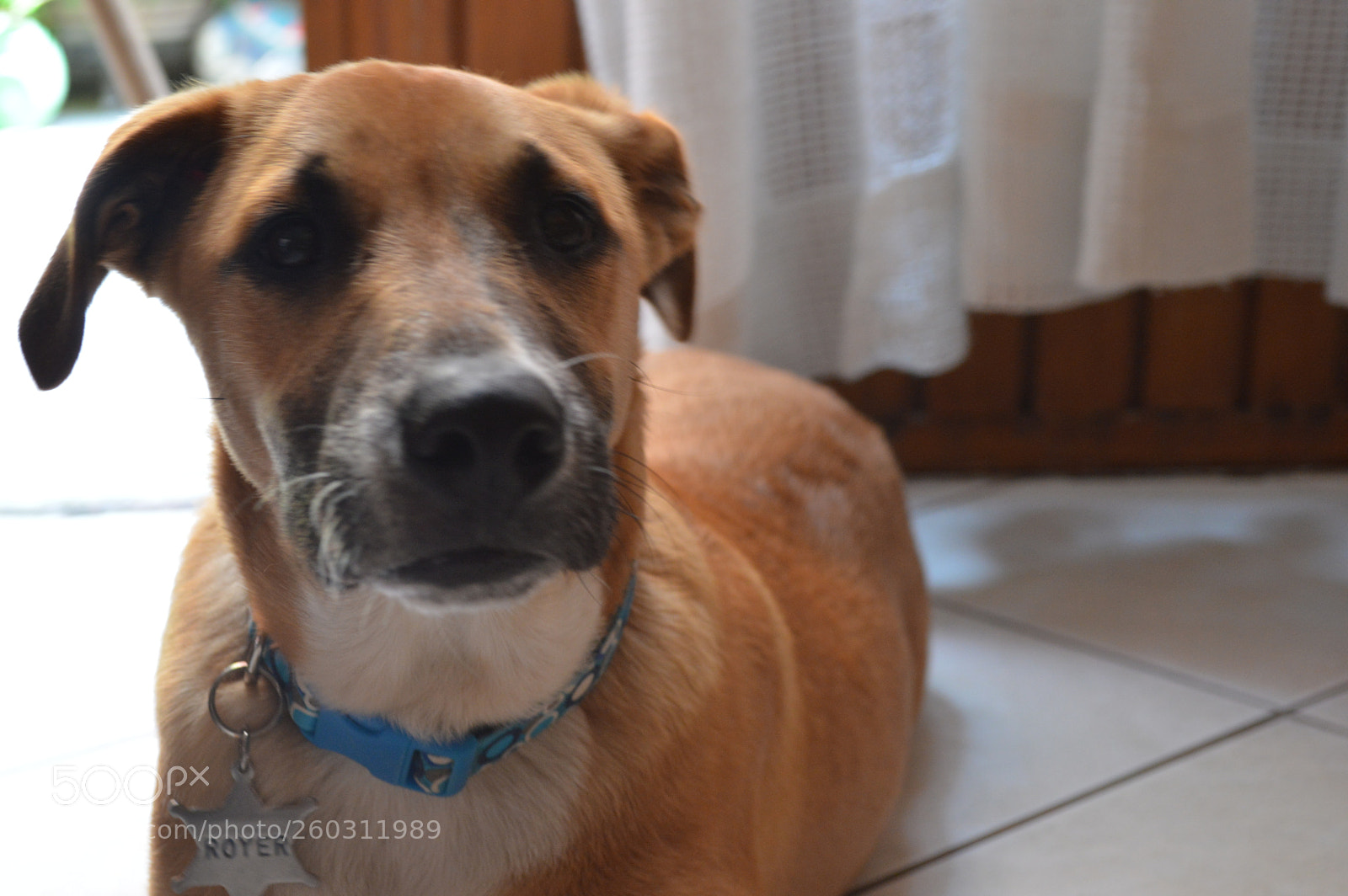 Nikon D3200 sample photo. El due o de photography