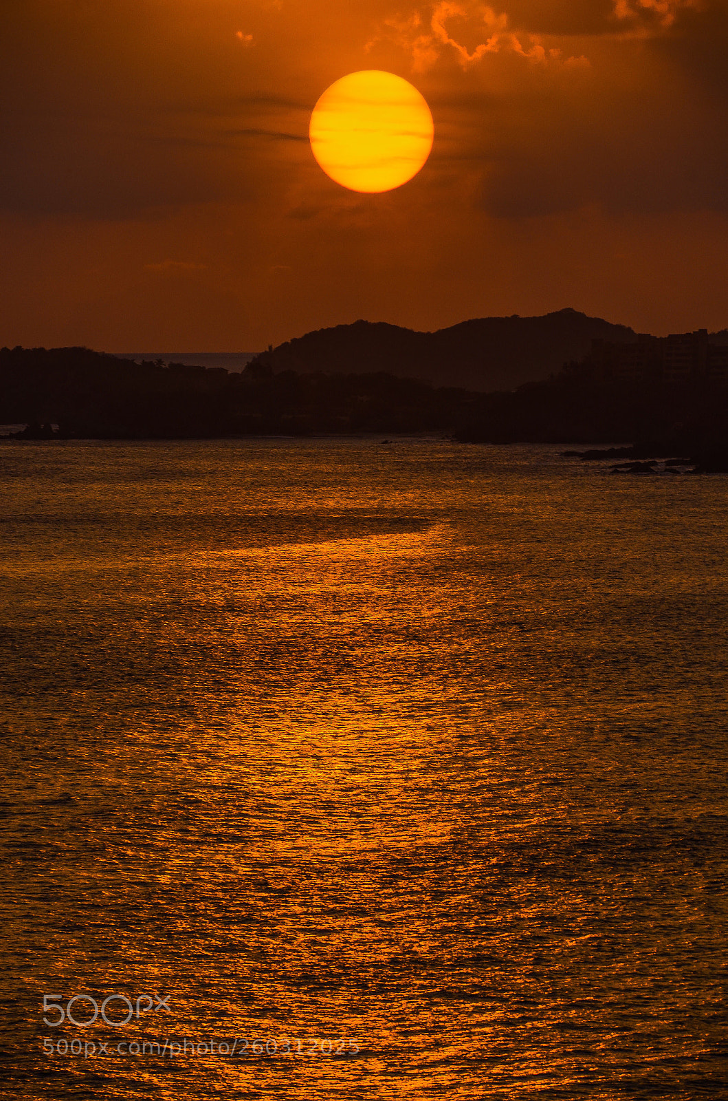 Nikon D7000 sample photo. Untitled photography