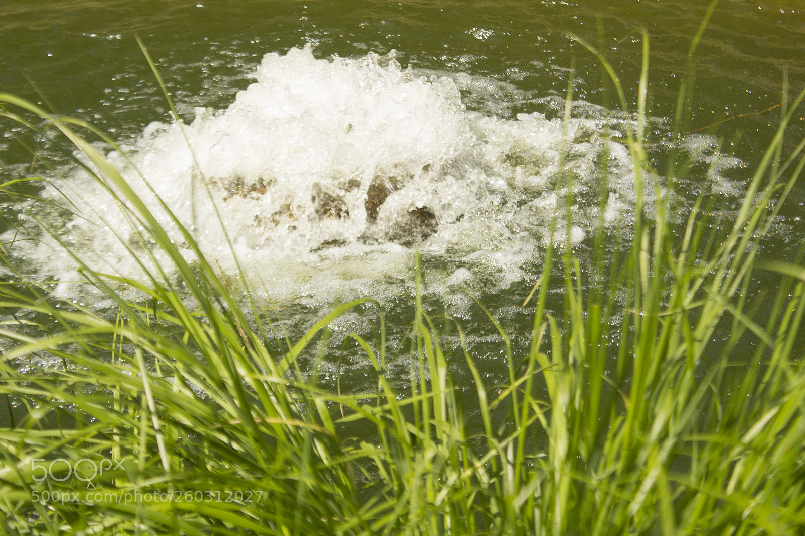 Canon EOS 1200D (EOS Rebel T5 / EOS Kiss X70 / EOS Hi) sample photo. Blurry grass and waterflow. photography