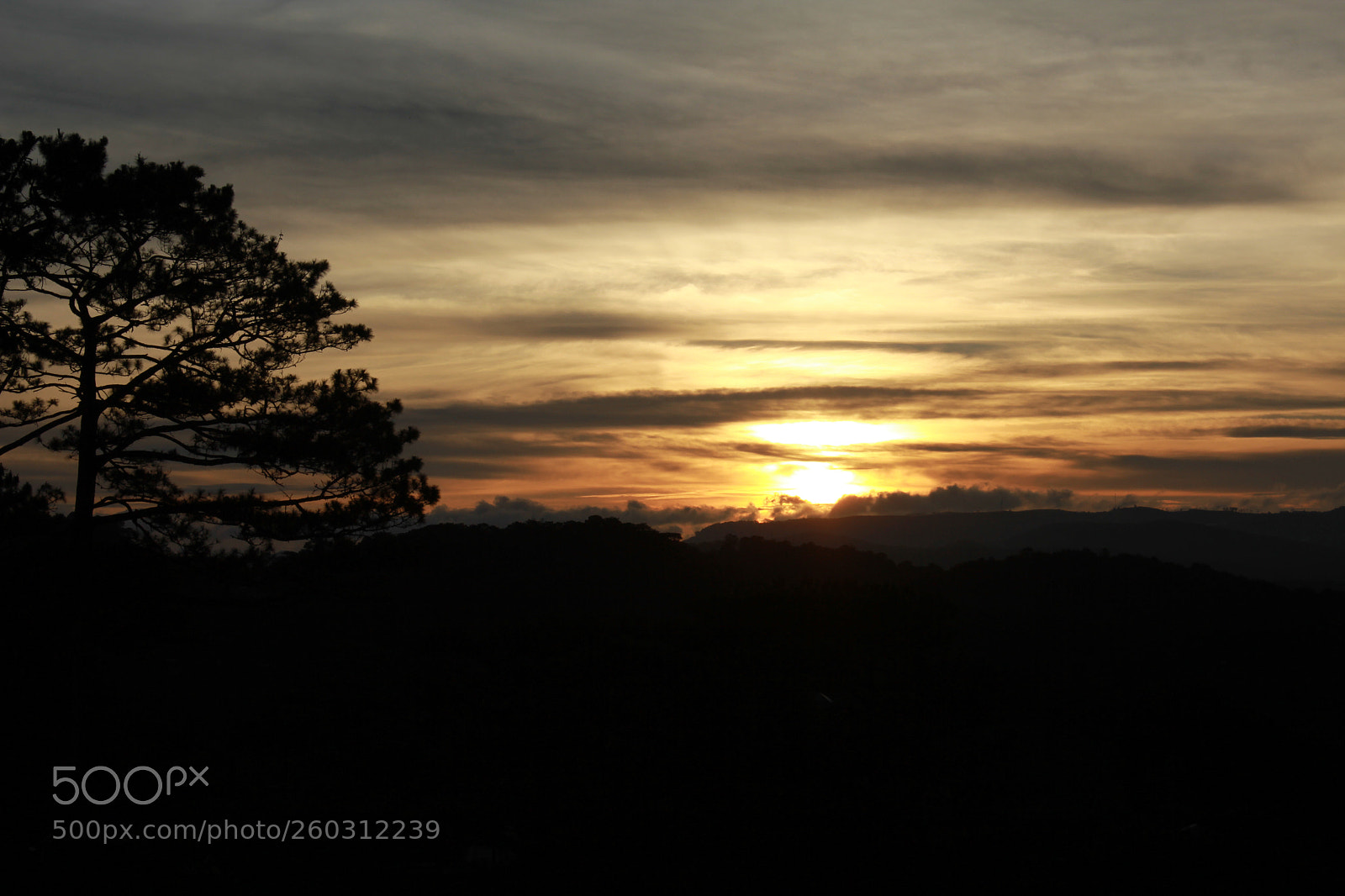 Canon EOS 550D (EOS Rebel T2i / EOS Kiss X4) sample photo. Sunset over the forest photography