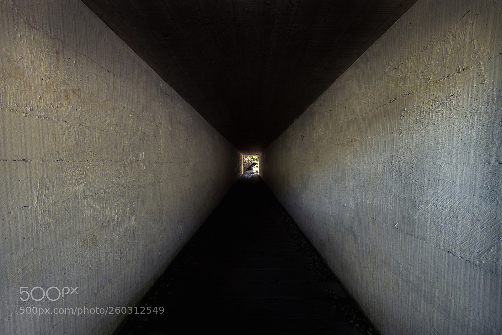 Nikon D750 sample photo. Under the road photography