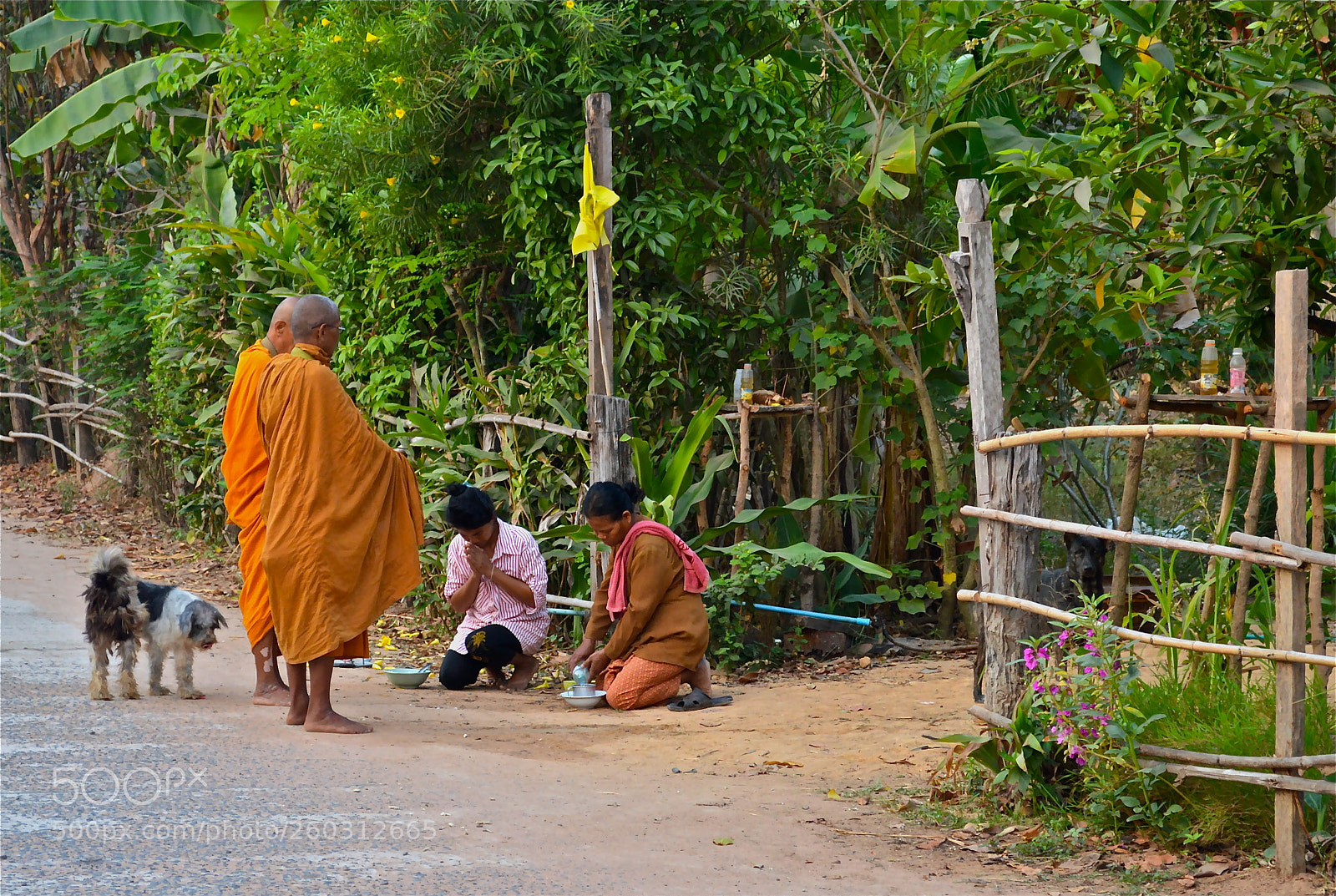 Nikon D3200 sample photo. Monks gathering alms photography