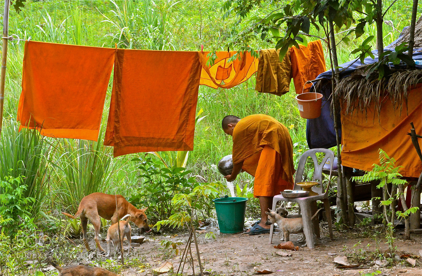 Nikon D3200 sample photo. Young rural monk photography